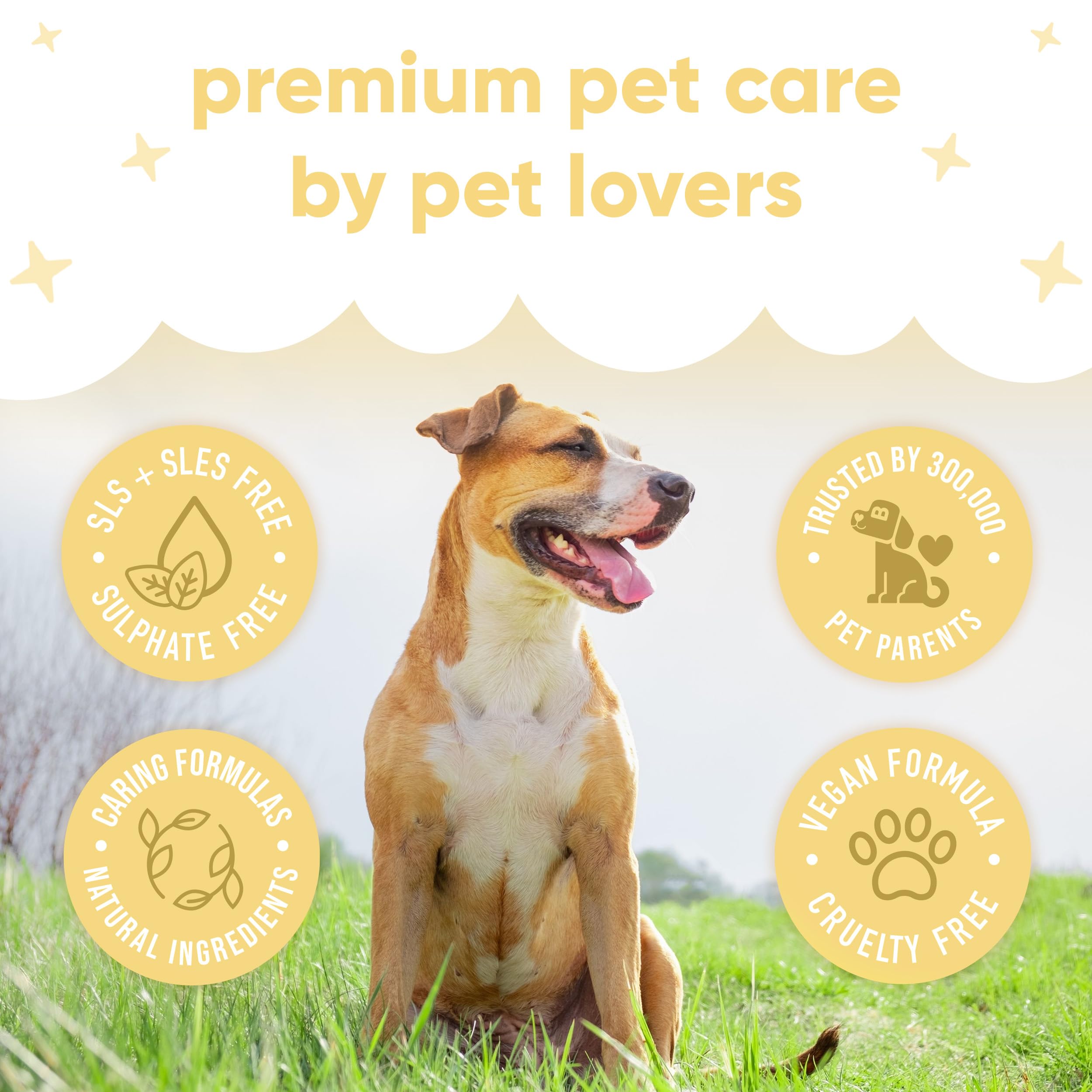 Buddycare Bezwodny, suchy szampon dla psów (200 ml) | Wanilia i masło shea szampon dla psów bez spłukiwania do skóry wrażliwej, naturalny, łatwy w użyciu dla świeżego, czystego sierści