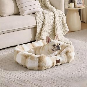 Washable Orthopedic Dog Bed,Rectangle Fleece & Luxury Pet Bed with Removable Zipper Cover & Anti-Slip Bottom,Suitable for Medium Large Dogs,30x25x7.5inches,Cream and Came