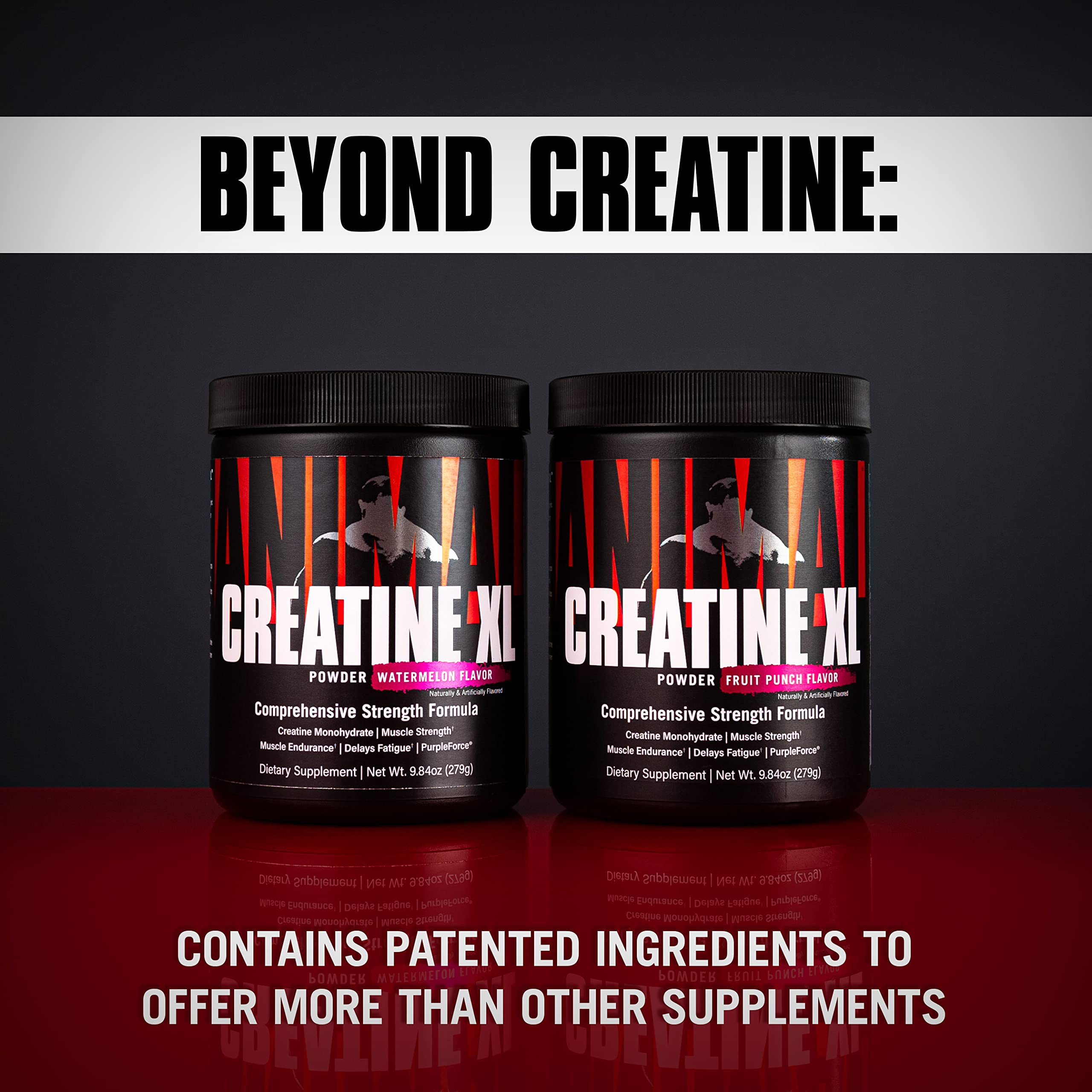 Amazon.com: Animal Creatine XL Powder - Enhanced Creatine Monohydrate  Supplement Plus Betaine Anhydrous, PurpleForce & Senactiv – Delay Muscle  Fatigue, Enhance Endurance, Improve Recovery – Fruit Punch, 9.84 oz :  Health & Household