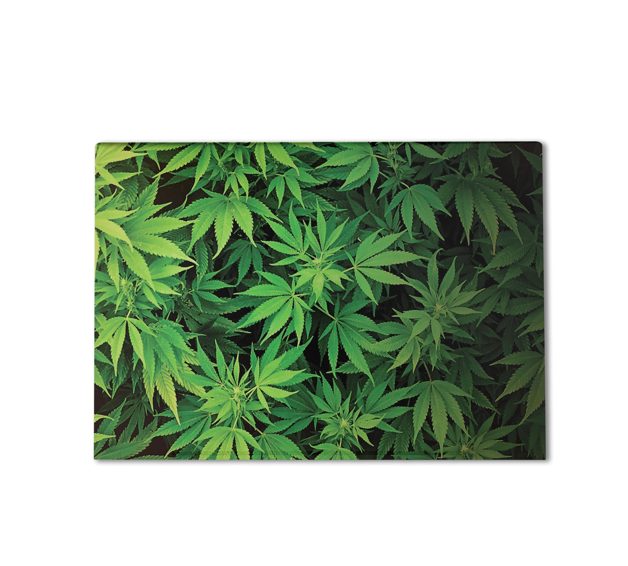 Gaming Skin Compatible with HP Envy x360 16” (2023) - Weed - Premium 3M Vinyl Protective Wrap Decal Cover - Easy to Apply | Crafted in The USA by MightySkins