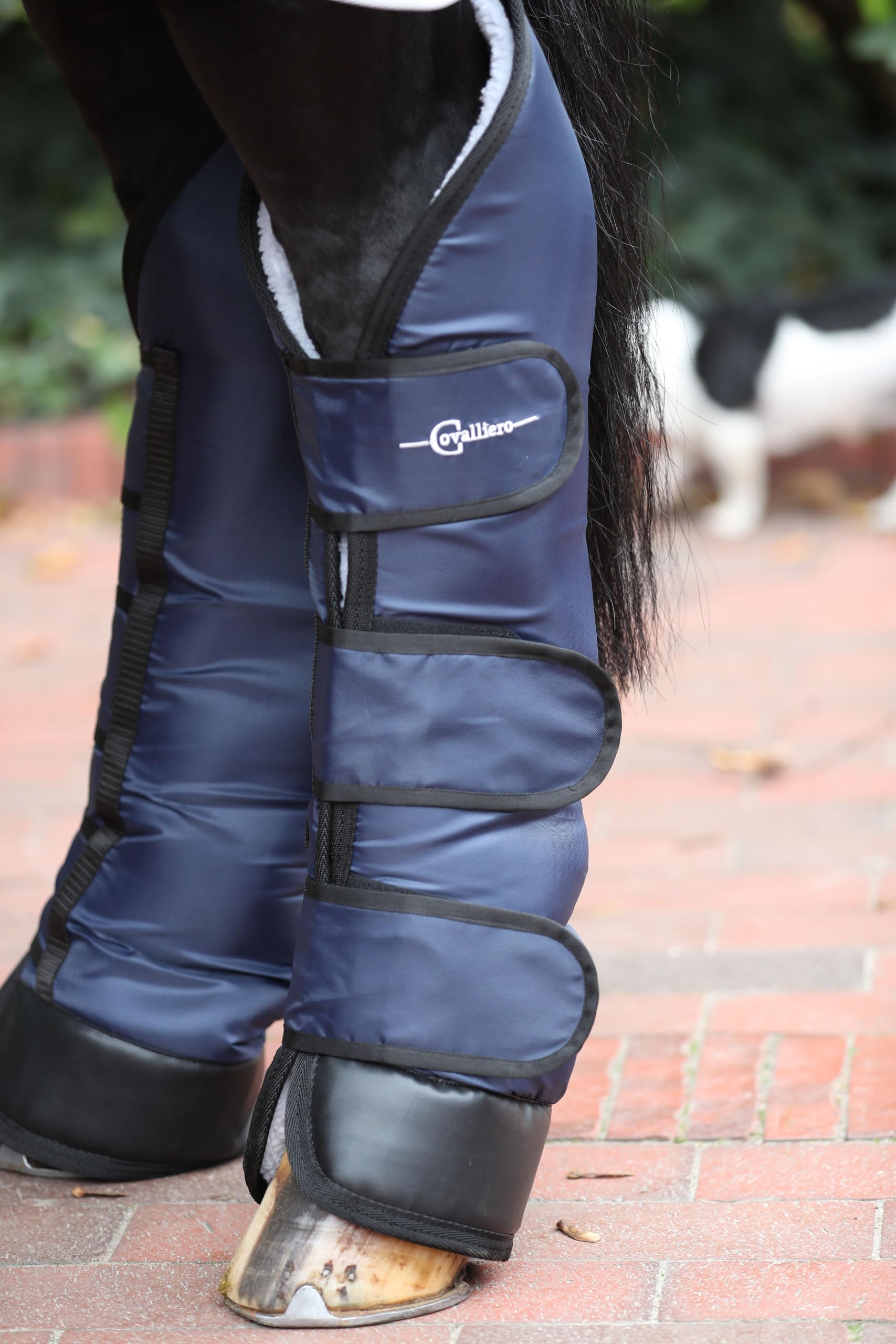 Covalliero Protectores transporte Dexter azul oscuro, XFull