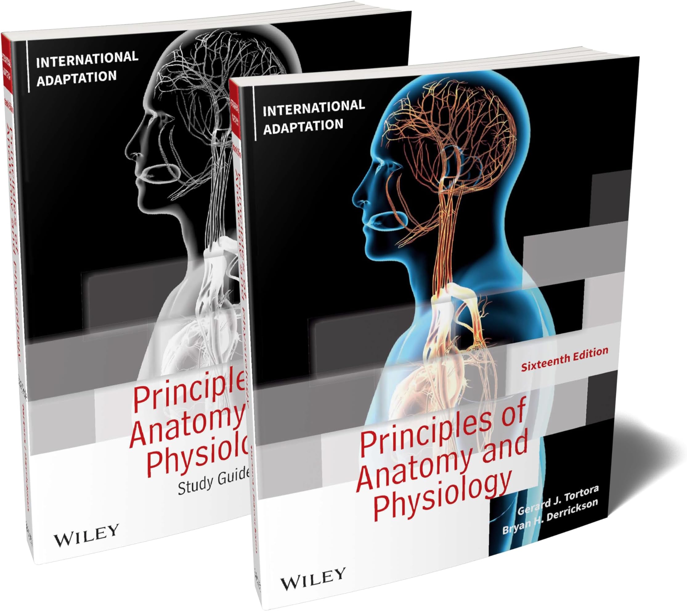 Principles of Anatomy and Physiology + Study Guide, 16e International Adaptation Set