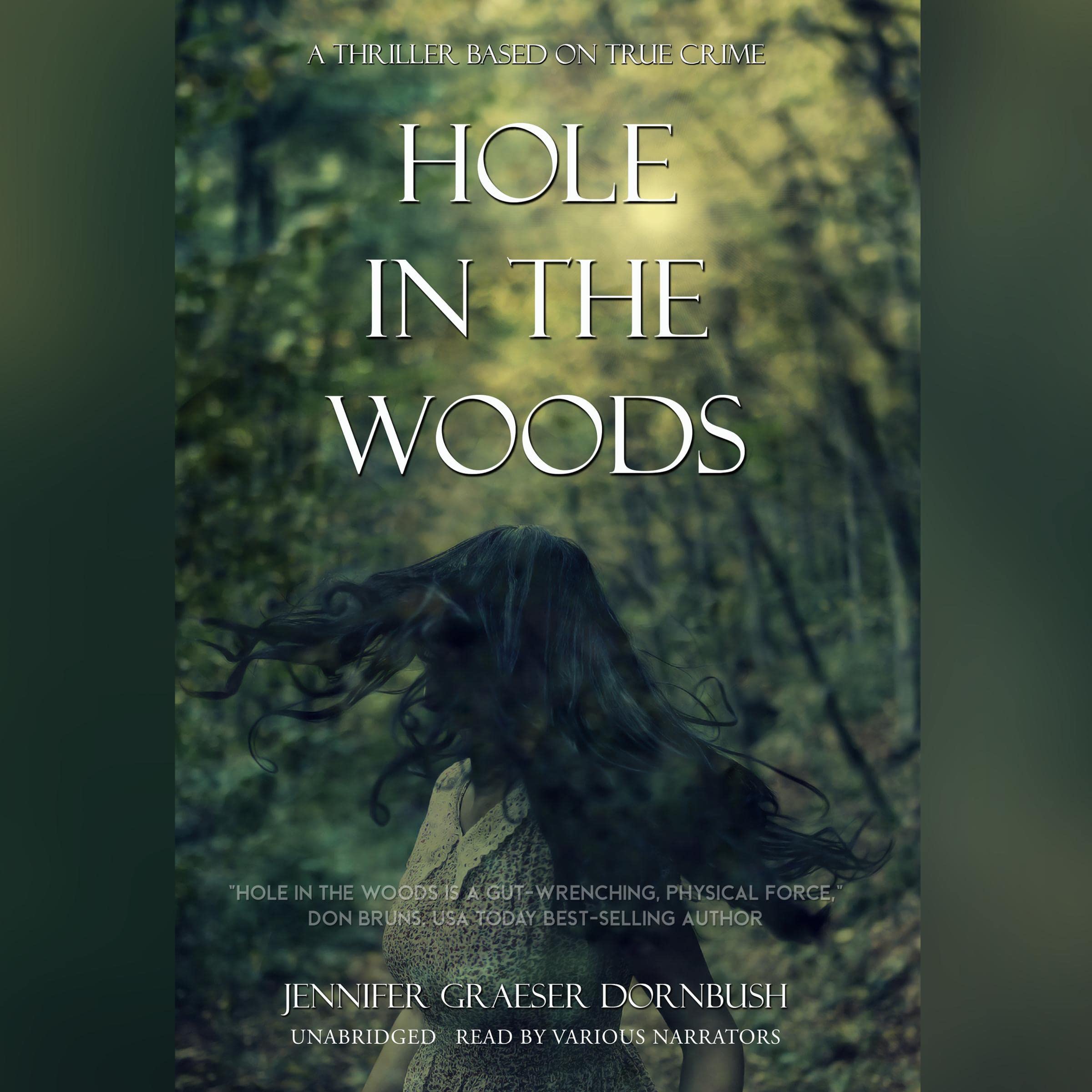 Cover art for Hole in the Woods