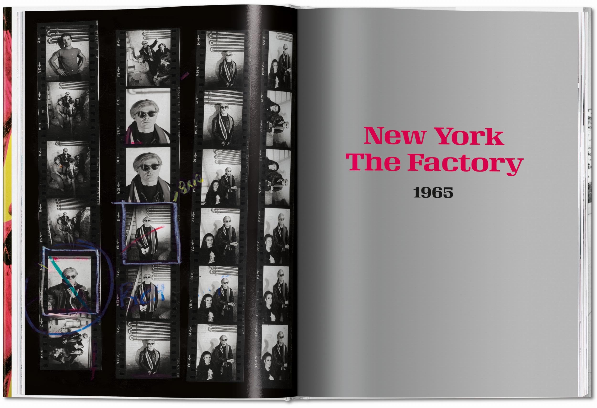 Steve Schapiro. Andy Warhol and Friends (Photography Book)