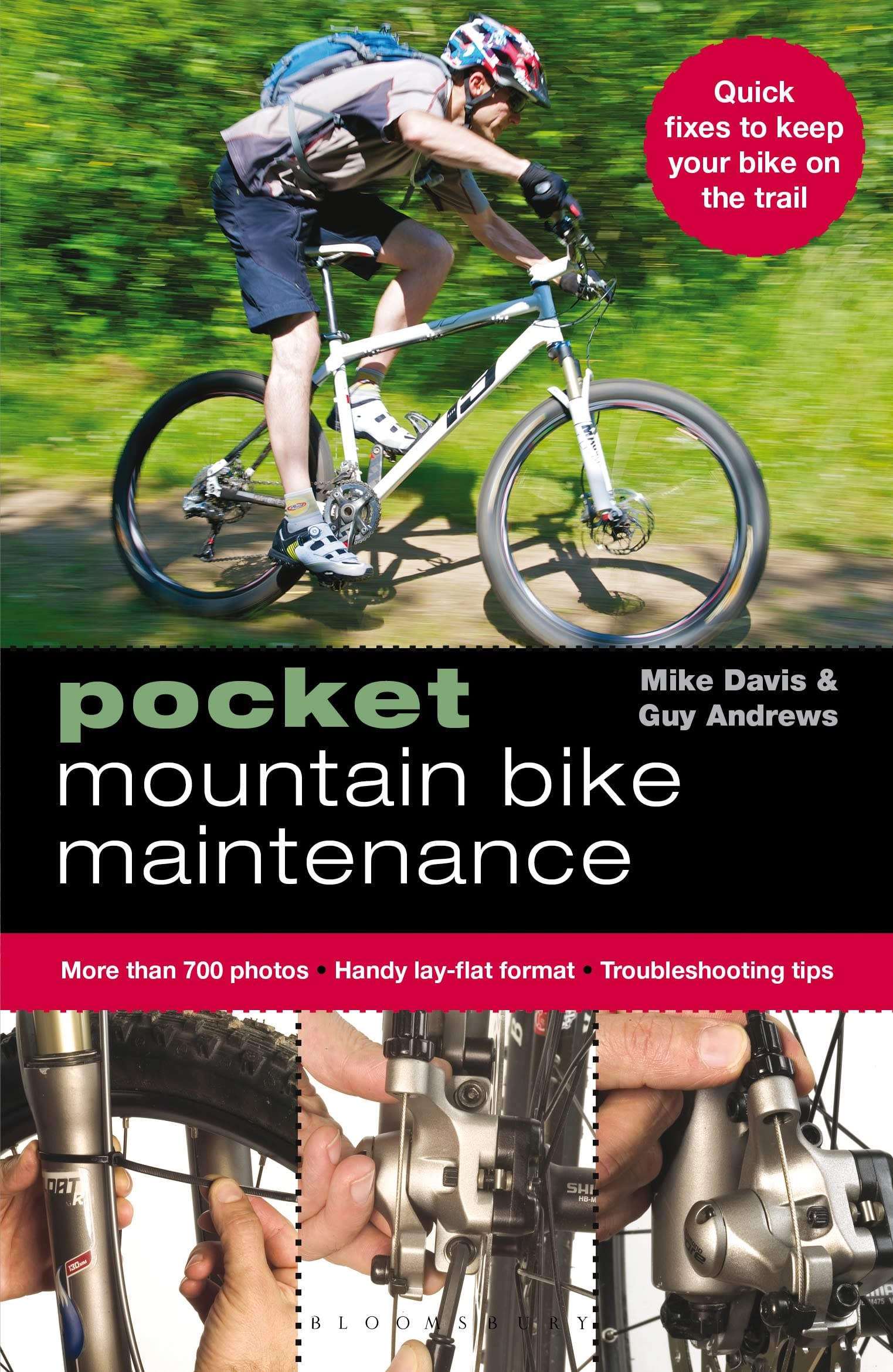 Buy Pocket Mountain Bike Maintenance — BookShops.in