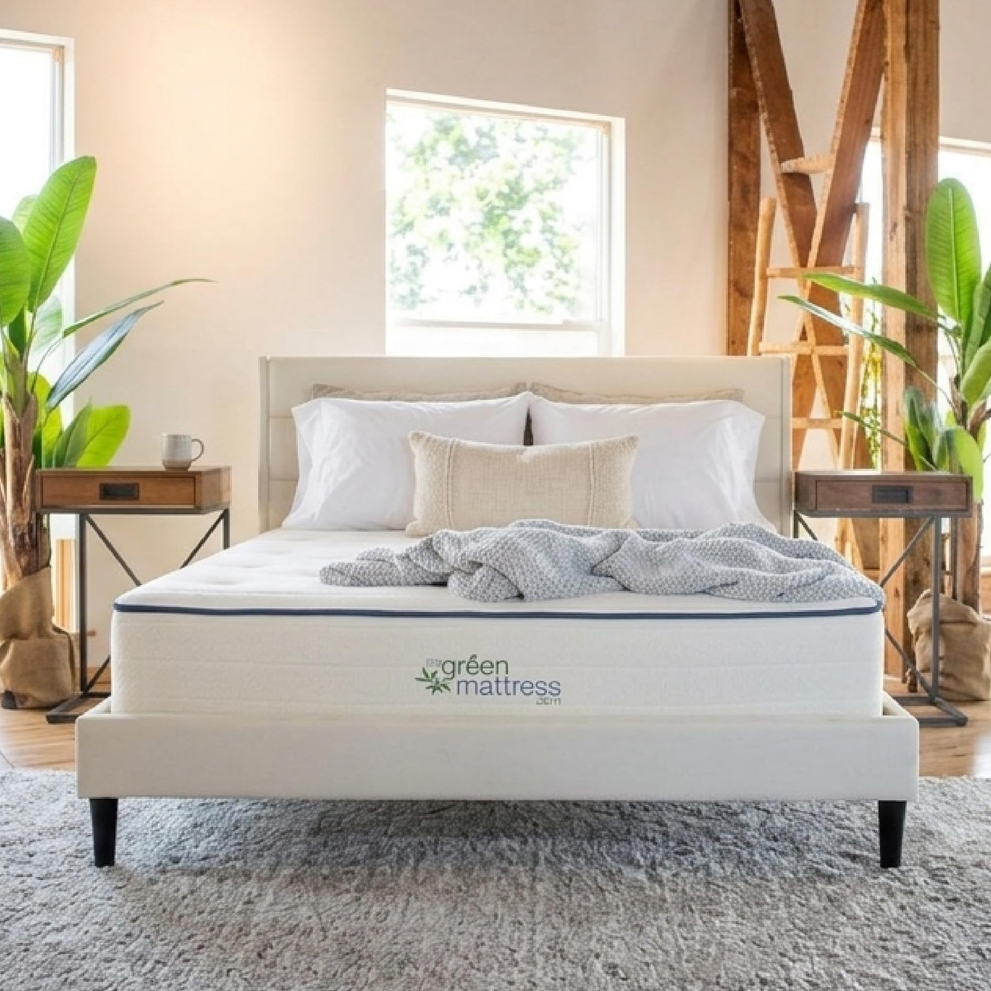 Amazon.com: My Green Mattress Kiwi Organic Mattress - Hybrid Latex