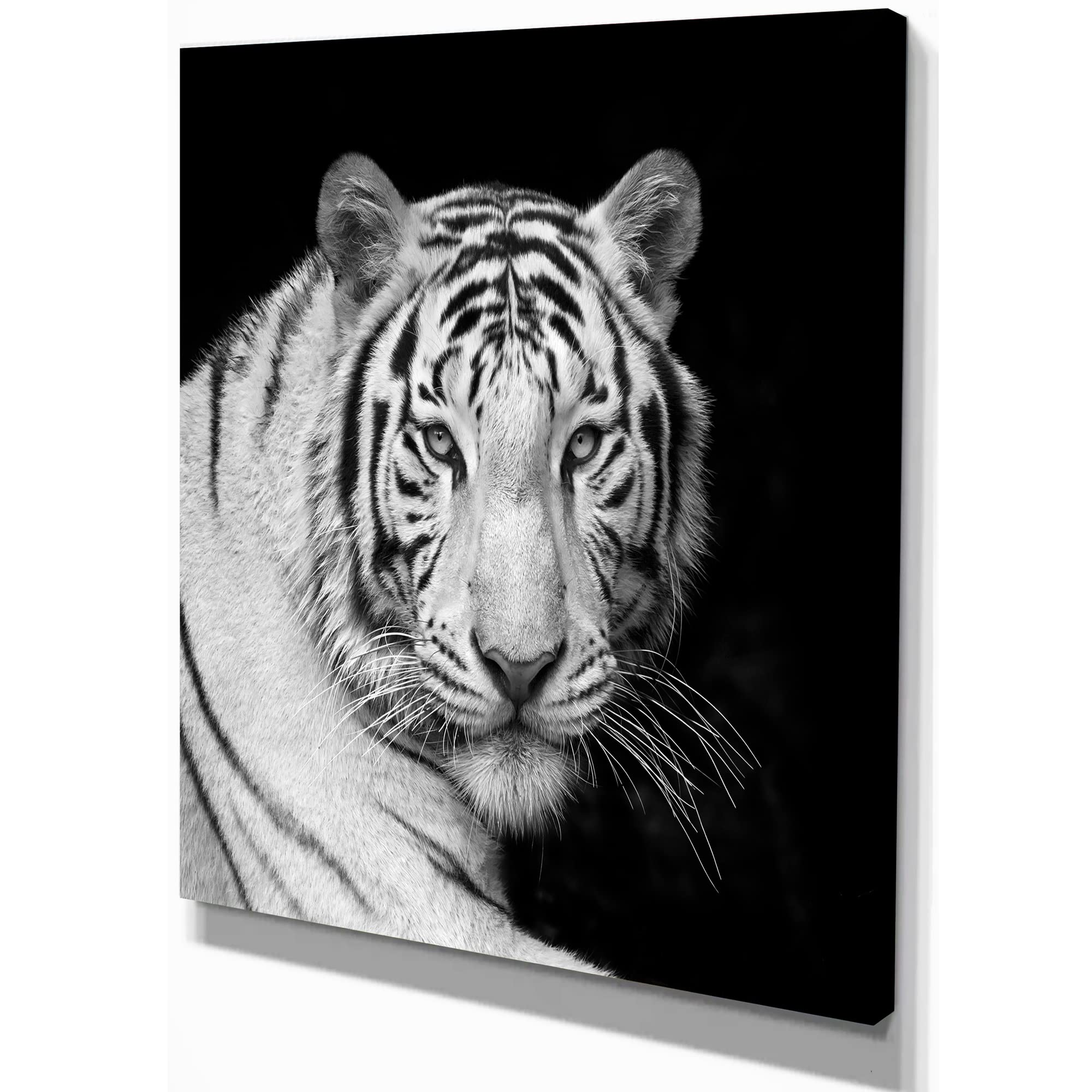 Design Art Staring Bengal White Tiger Contemporary Animal Canvas, 20" H x 12" W x 1" D 1P