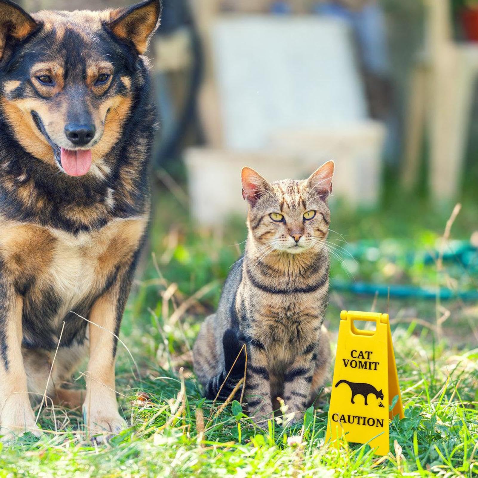 Segno Di Avvertimento Vomito Gatto Pavimento Bagnato - Indicatore Di Sicurezza Per Uso Domestico | Segno Di Cautela Per Bagno, Cucina, Camera Da Letto E Soggiorno, Avvisi Per Incidenti Per Anim