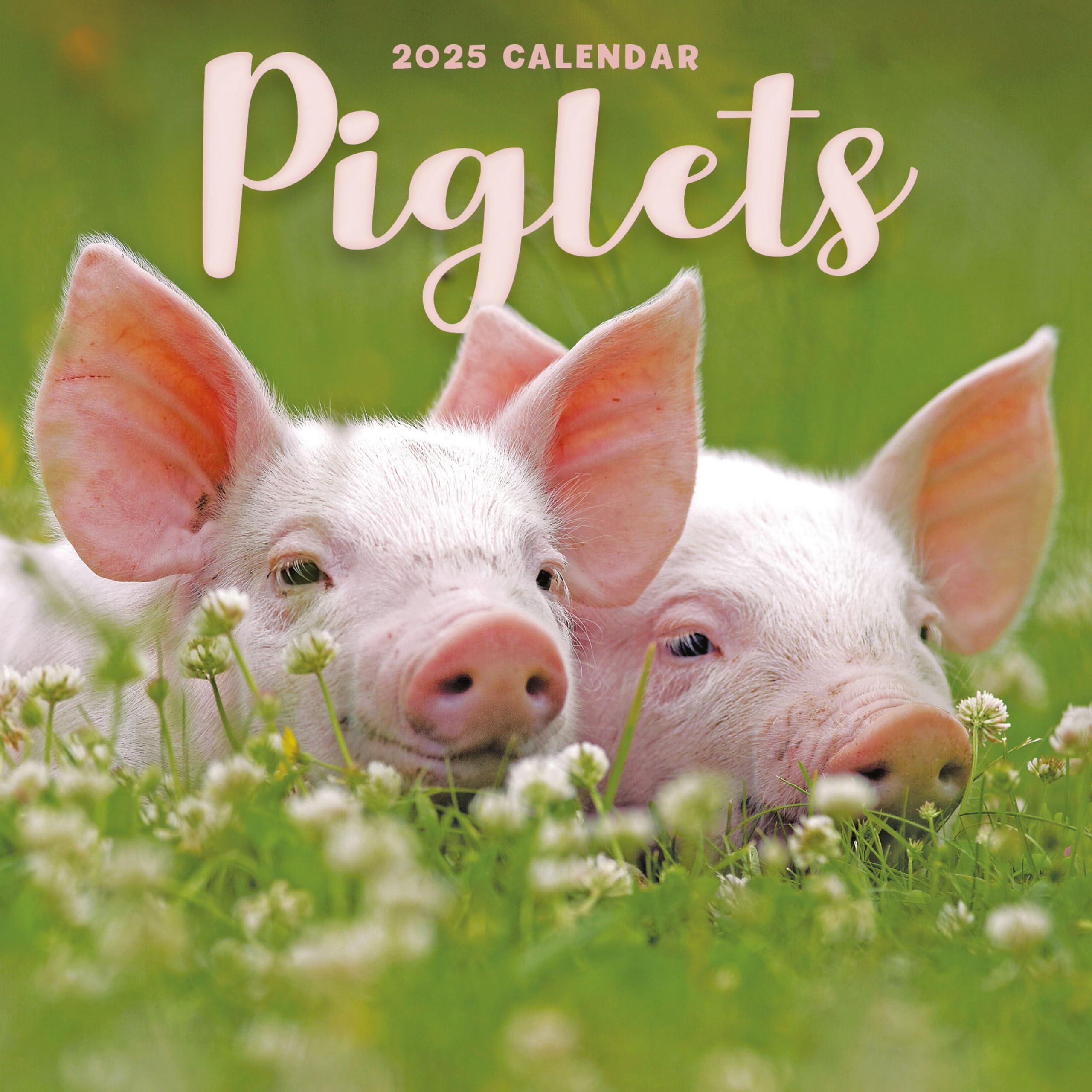 2025 Piglets Mini calendar