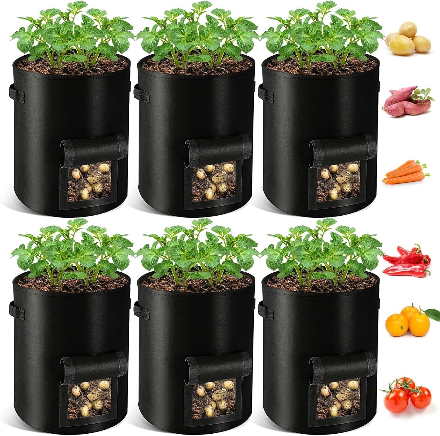 Lot de 6 sacs de culture de pommes de terre en tissu non tissé épais avec rabat et poignée de fenêtre pour la culture de pommes de terre, tomates, carottes, légumes, fruits