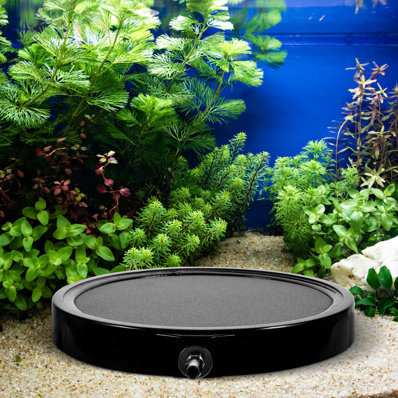 Milisten Diffuseur à Bulles pour Aquarium, Pierre à Air en Disque 21 Cm, Pierre à Oxygène pour Aquarium d'eau Douce et Marine, Accessoire pour Pompe à Air, Solide Aléatoire