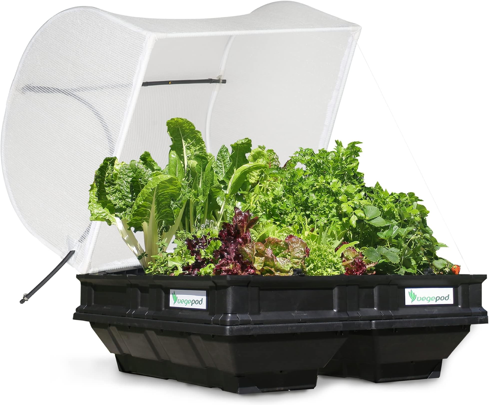 Vegepod - Raised Garden Bed - Self Watering Container Garden Kit with Protective Cover, Easily Elevated to Waist Height, 5 Years Warranty (Medium)