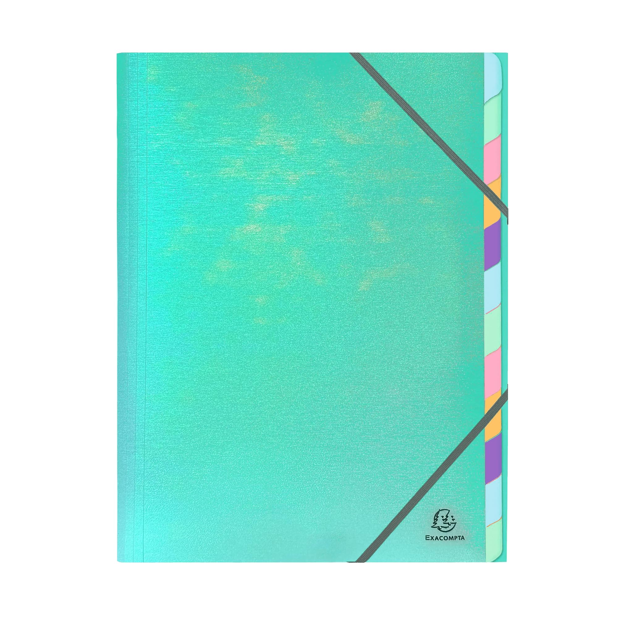 Exacompta - Rif. 53230E - Cartone con 8 raccoglitori cuciti Candy Tidy, con elastici - interno in carta e copertina in PP - 6 scomparti - 24 x 32 cm - A4-4 colori azzurro, menta, parma e pesca