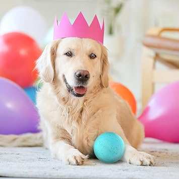 Playology Dog Toys | Birthday Box for Large Dogs | Peanut Butter Birthday Cake Scented Jumbo Gift Bundle | 1 Squeaky Chew Ball, 1 Dual Layer Bone, 1 Doggy Bday Card