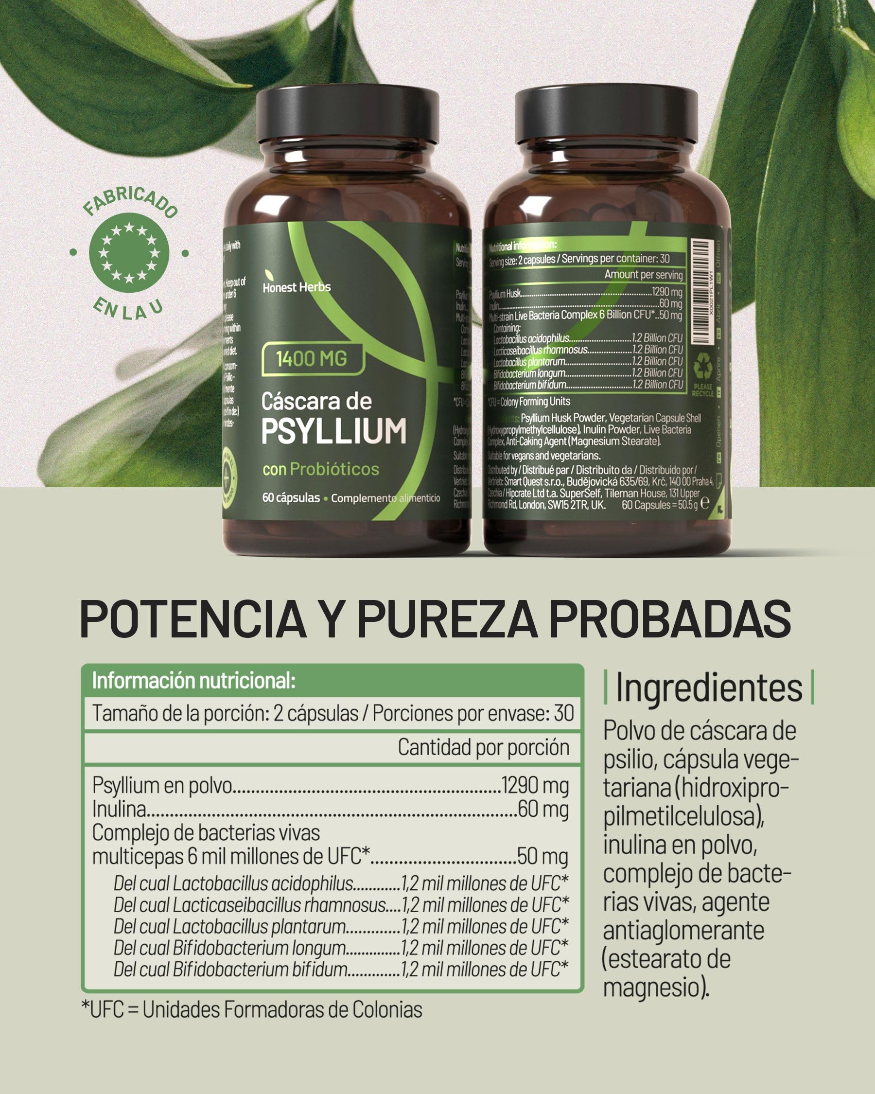 Cáscara de Psyllium con Probióticos 99% Pureza 60 Cápsulas 1400 mg Psyllium Husk 60 Mil Millones Probióticos Digestión Fibra Plantago Ovata