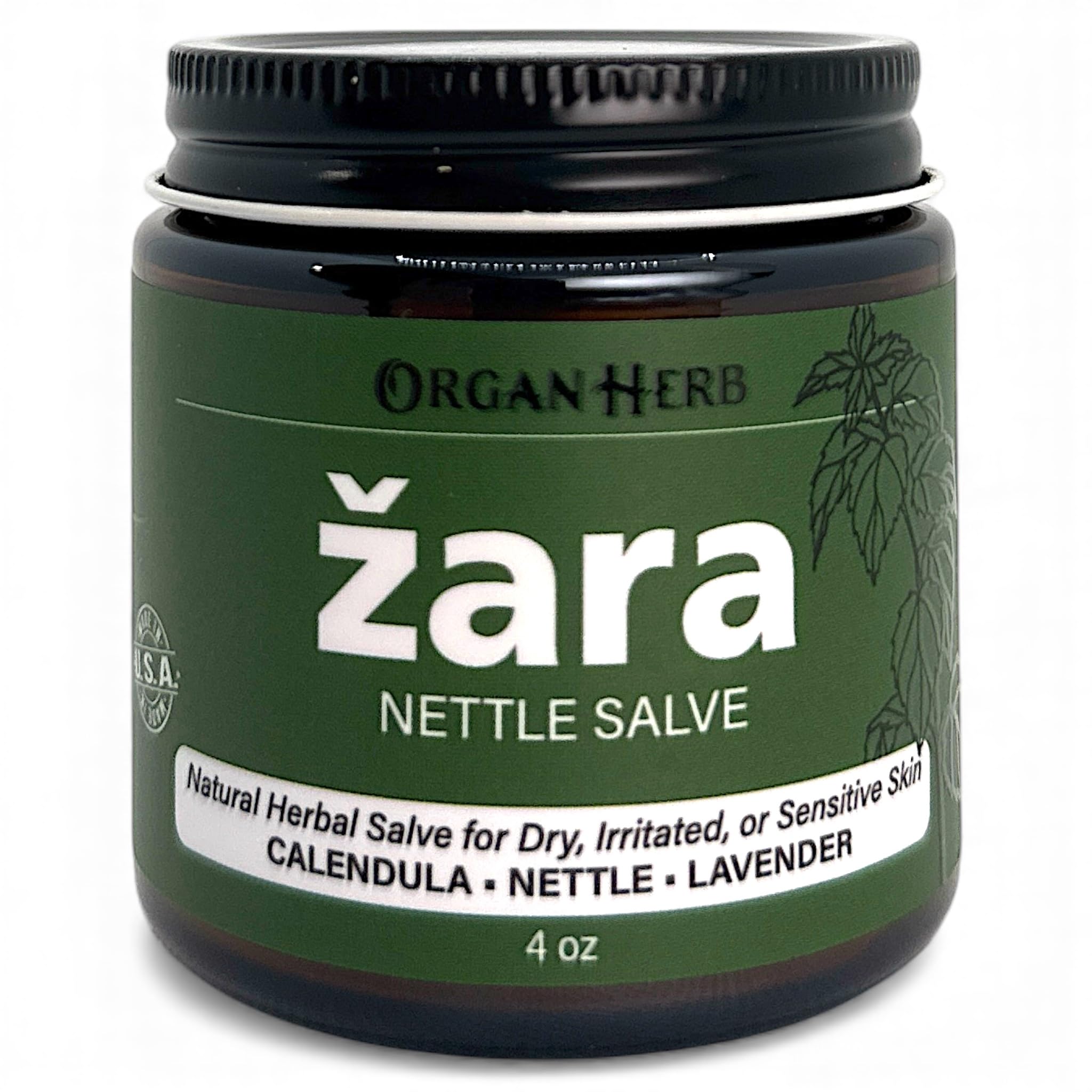Amazon.com : Organic Nettle Salve (Žara-Kopriva) 4 oz : Health