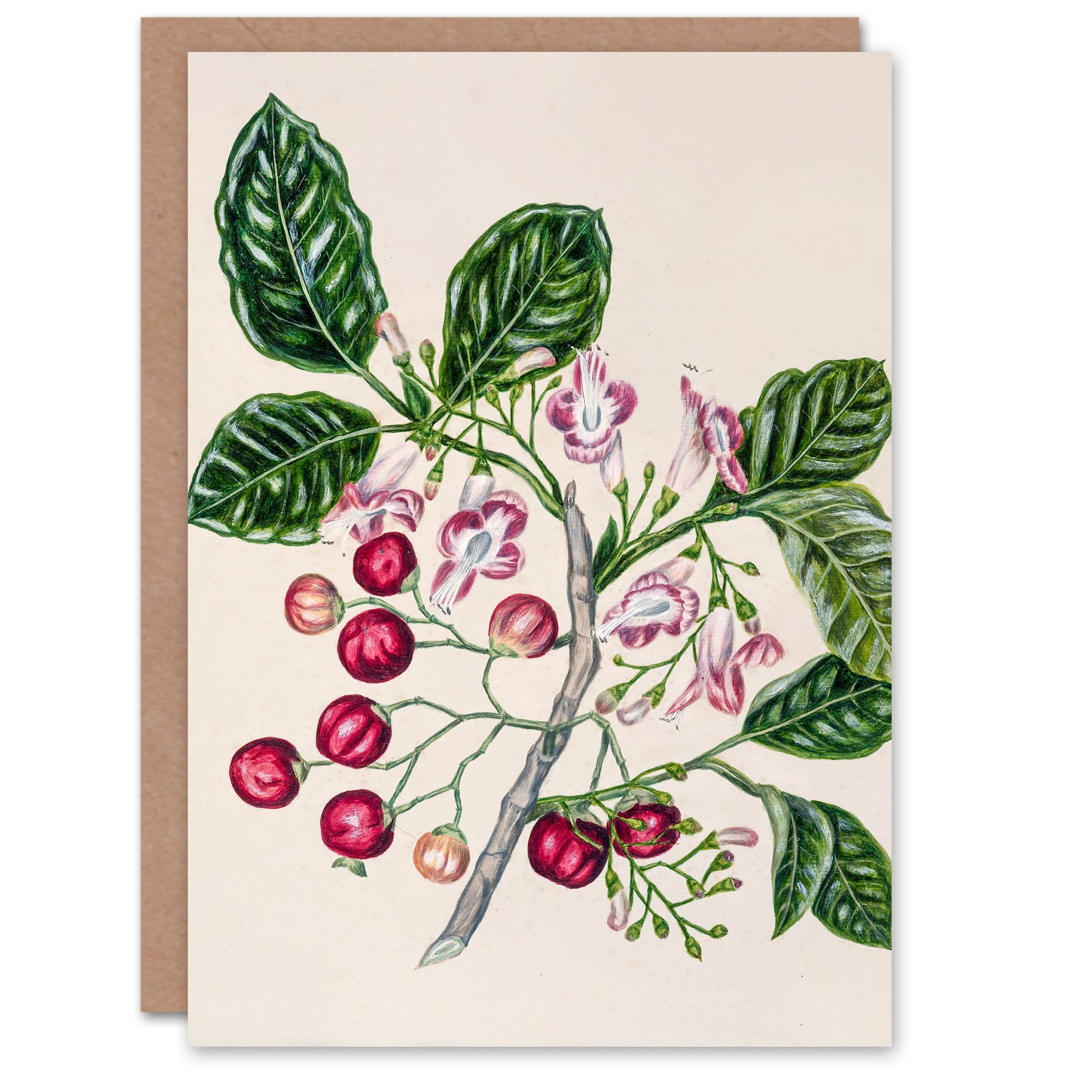 Artery8 Sarah Featon Art Card New Zealand Puriri Vitex Lucens Flowers