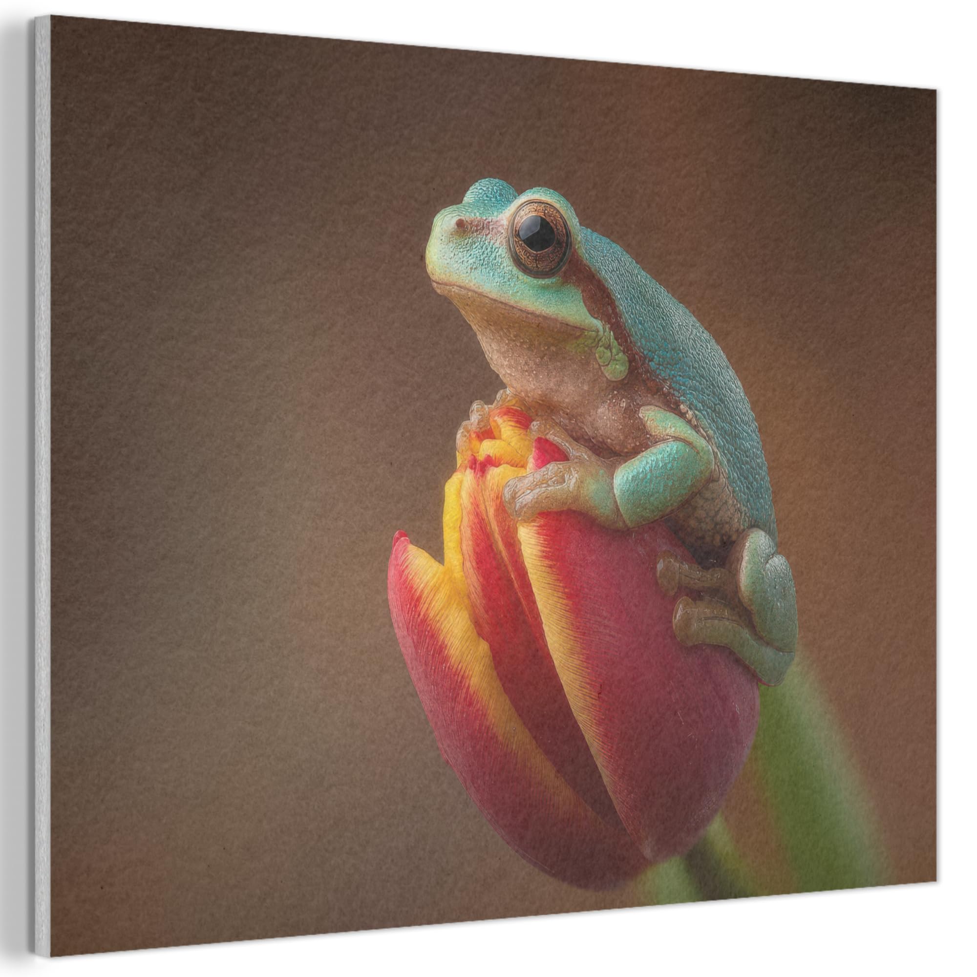 MuchoWow© Felt Panel 40x30 cm Room Style Piece Wallfillers Visual Display Decoration Wall Art Close-up - Frog - Tulip - Red
