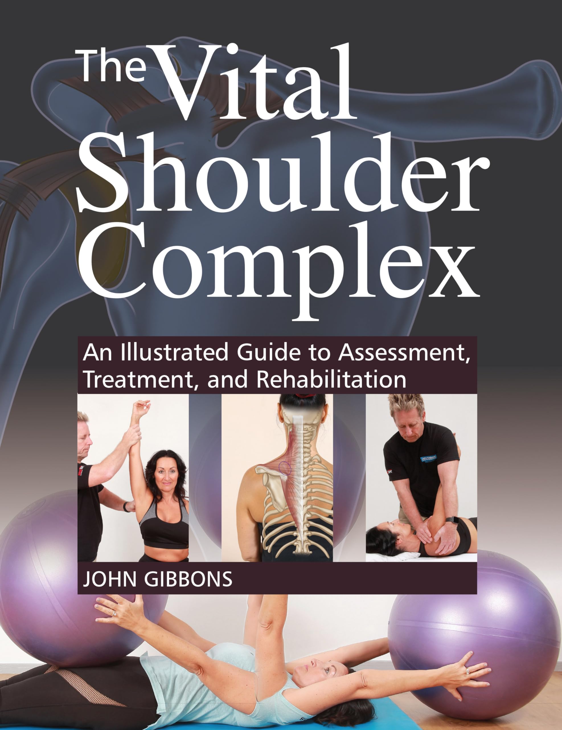 The Vital Shoulder Complex: An Illustrated Guide to Assessment, Treatment, and Rehabilitation