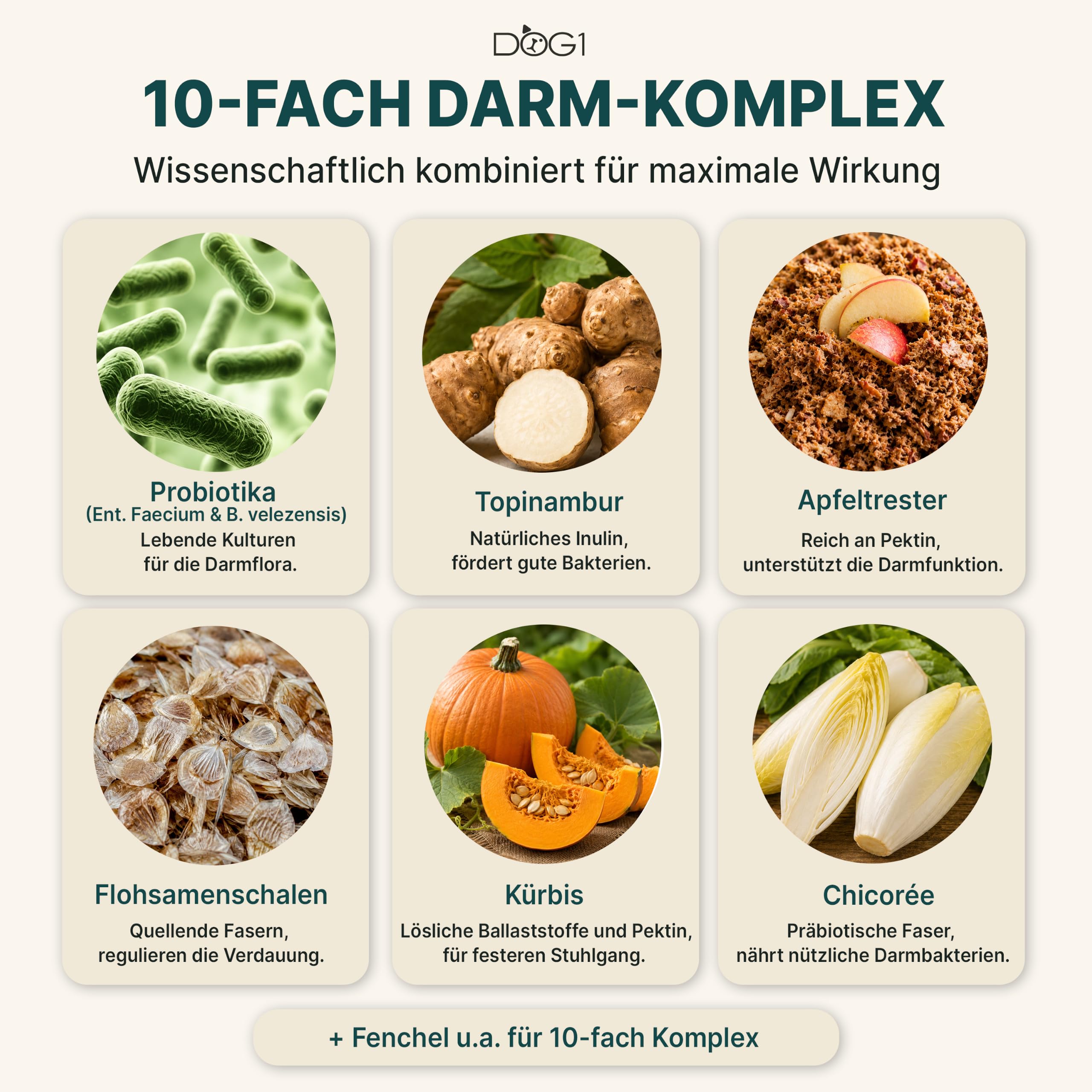 DOG1 Probiotika Pulver für Hunde – Made IN Germany - Unterstützt Darmflora & Verdauung - Probiotika Hund bei Durchfall - Präbiotika & Darmkur Pulver – Von Tierärzten entwickelt - 100g