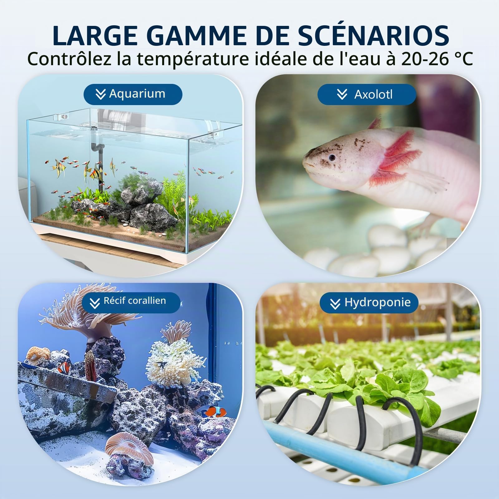 BAOSHISHAN Refroidisseur d'aquarium 160 L, 20‑26 °C | Écran tactile, panneau latéral amovible pratique, pour axolotls/coraux/hydroponie intérieure, eau douce et eau de mer