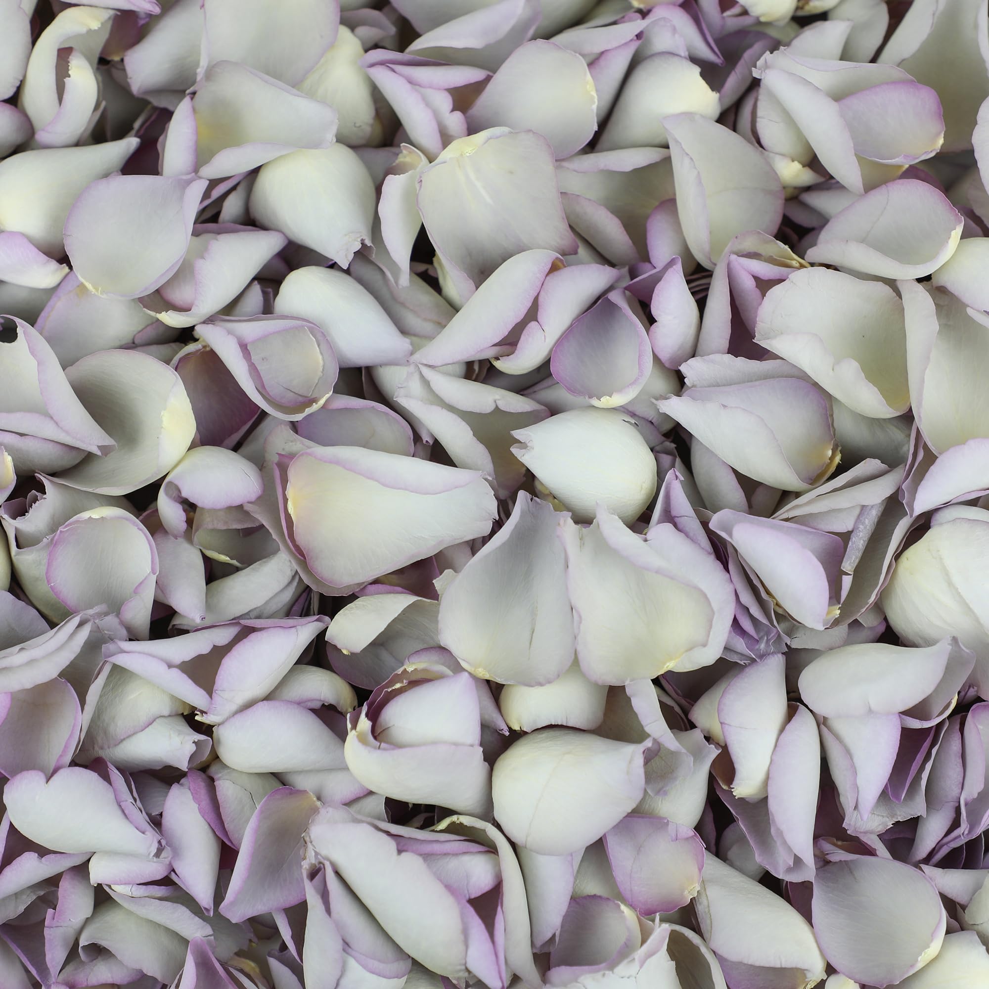 Petals And Roses Mother Of Pearl Freeze Dried Rose Petal Confetti | Natural & Biodegradable For Weddings, 2 Litres