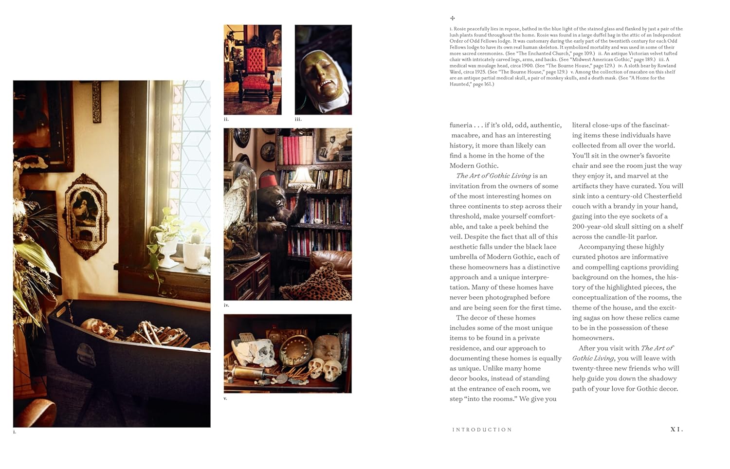 The Art of Gothic Living: Dark Decor for the Modern Macabre - Image 3