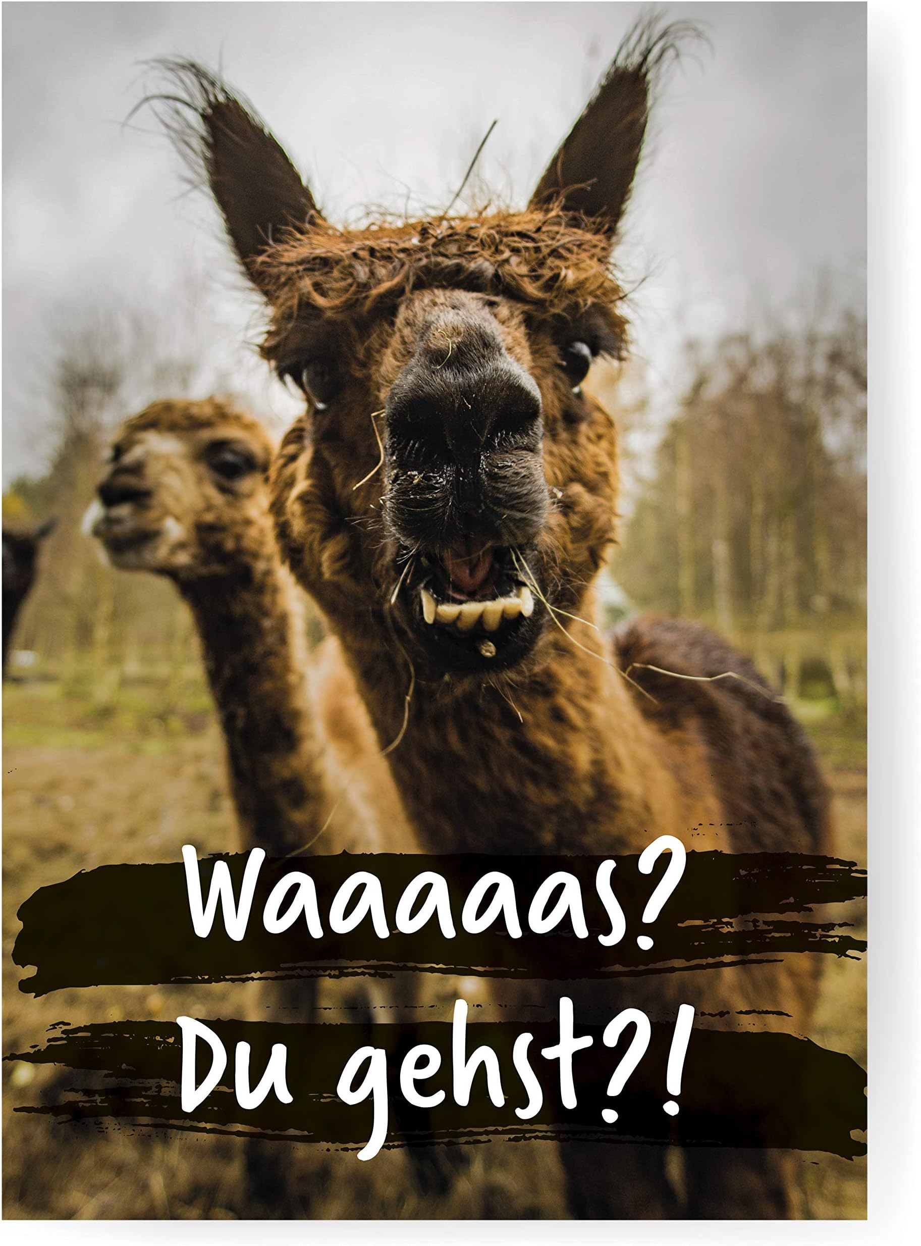Sophies Kartenwelt Funny Leaving Card in DIN A4 Format with Envelope "Alpaca" – XXL Folding Card with Plenty of Space for Colleagues for Retirement, Change of Job or Mother Protection