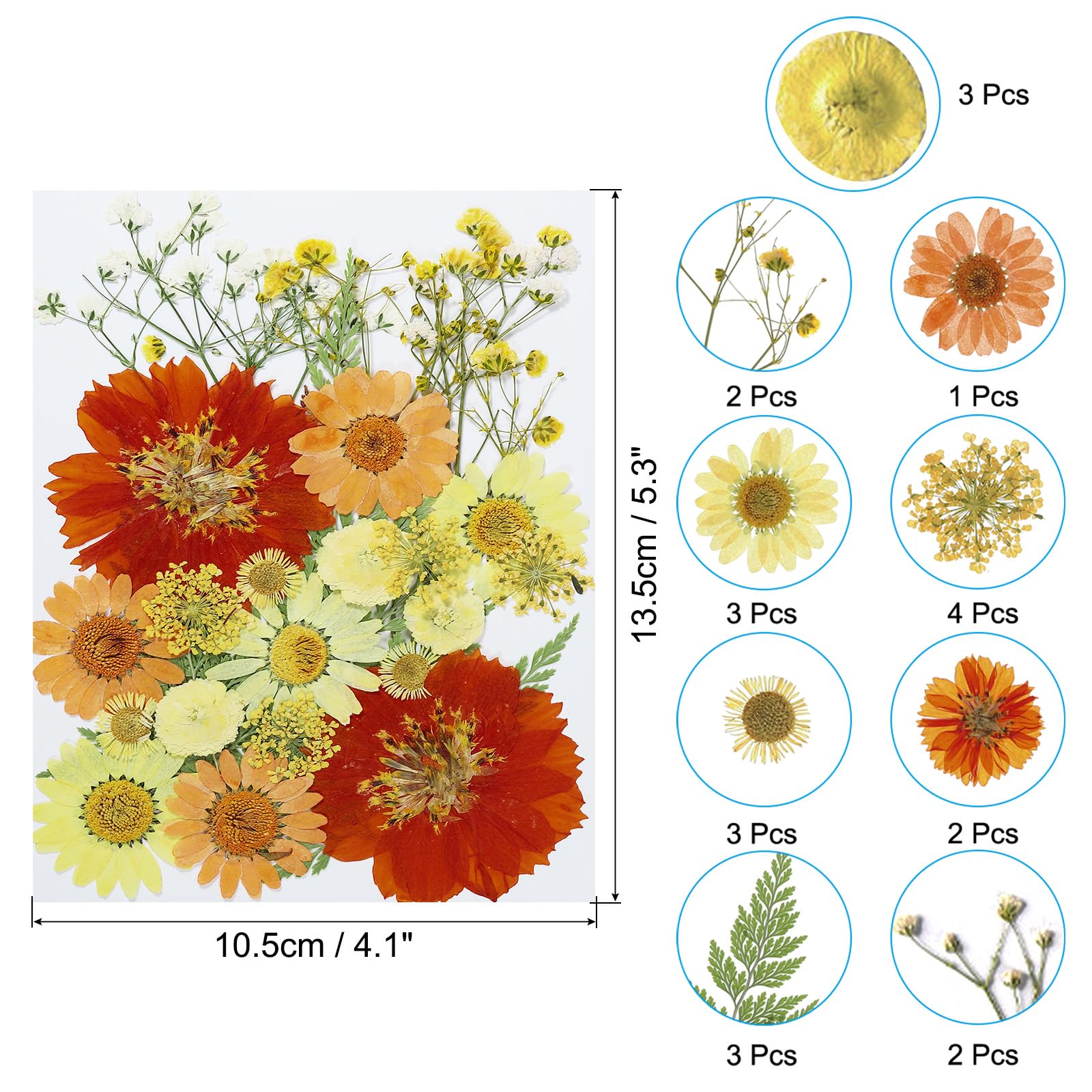 PATIKIL Dried Pressed Flowers - Image 2