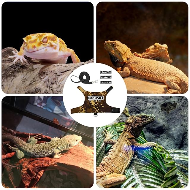 Foto 4 de 8 de Correas de Dragon Barbudo, Arnés de Correas de - Arnés Ajustable Anti-Escape para Reptiles