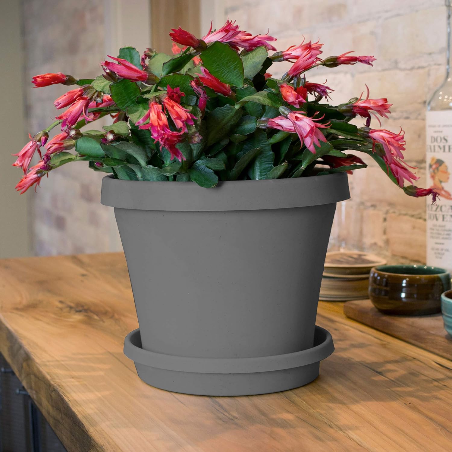 Bloem Terra Plant Saucer Tray for Planters 10-14" Charcoal Gray