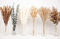 Naunauya 110pcs Boho Pampas Grass Dried Bouquet - Bunny Tails, Eucalyptus, Fluffy Pompas for Weddings, Parties & Boho Home Decor
