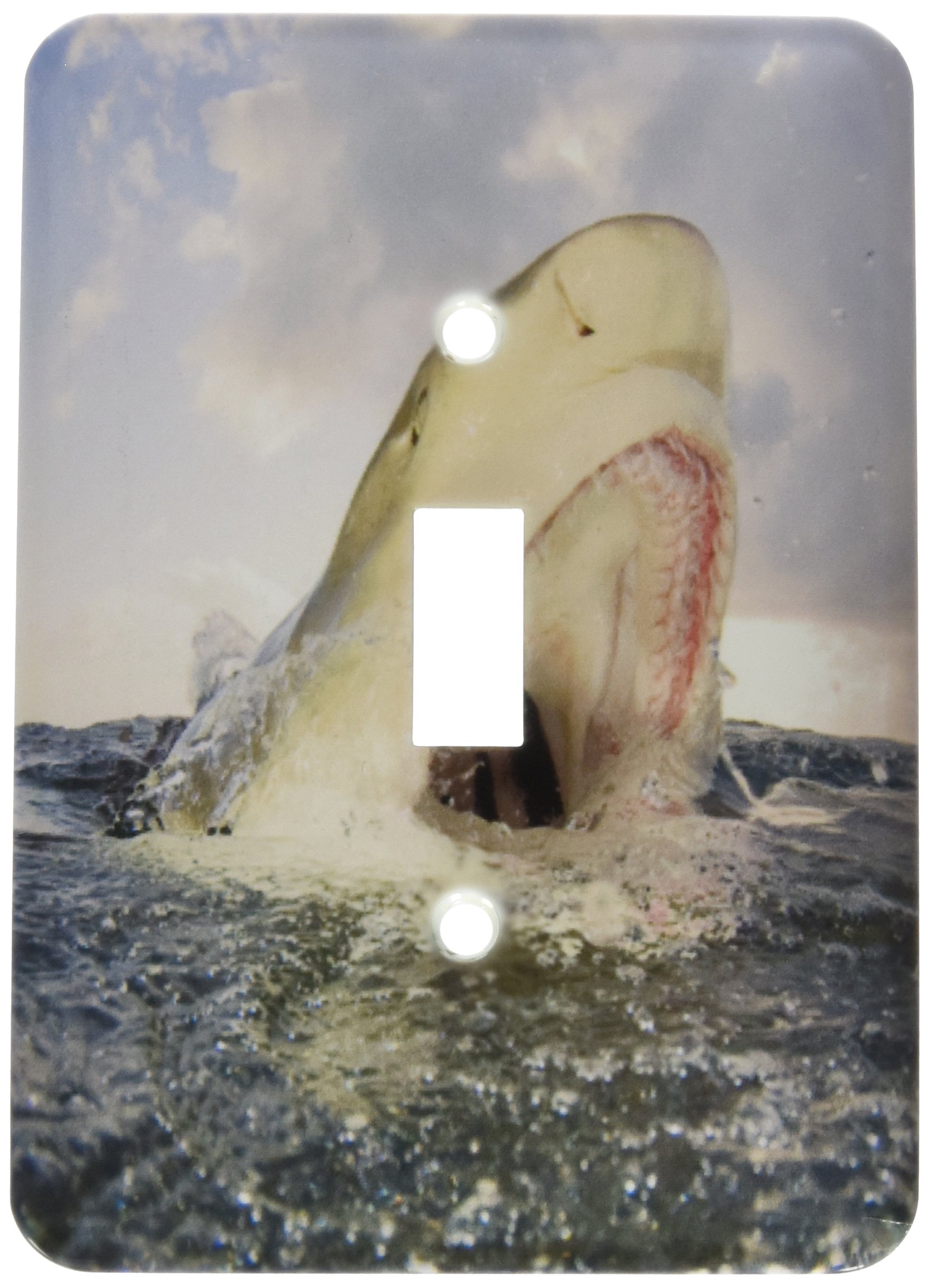 Interrupteur à baïonnette décoratif avec motif de requin des Bahamas