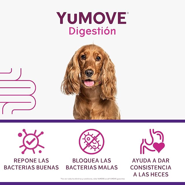 Foto 4 de 6 de Yumove Probióticos Y Prebióticos para Perros, 120 Comprimidos ActivBio