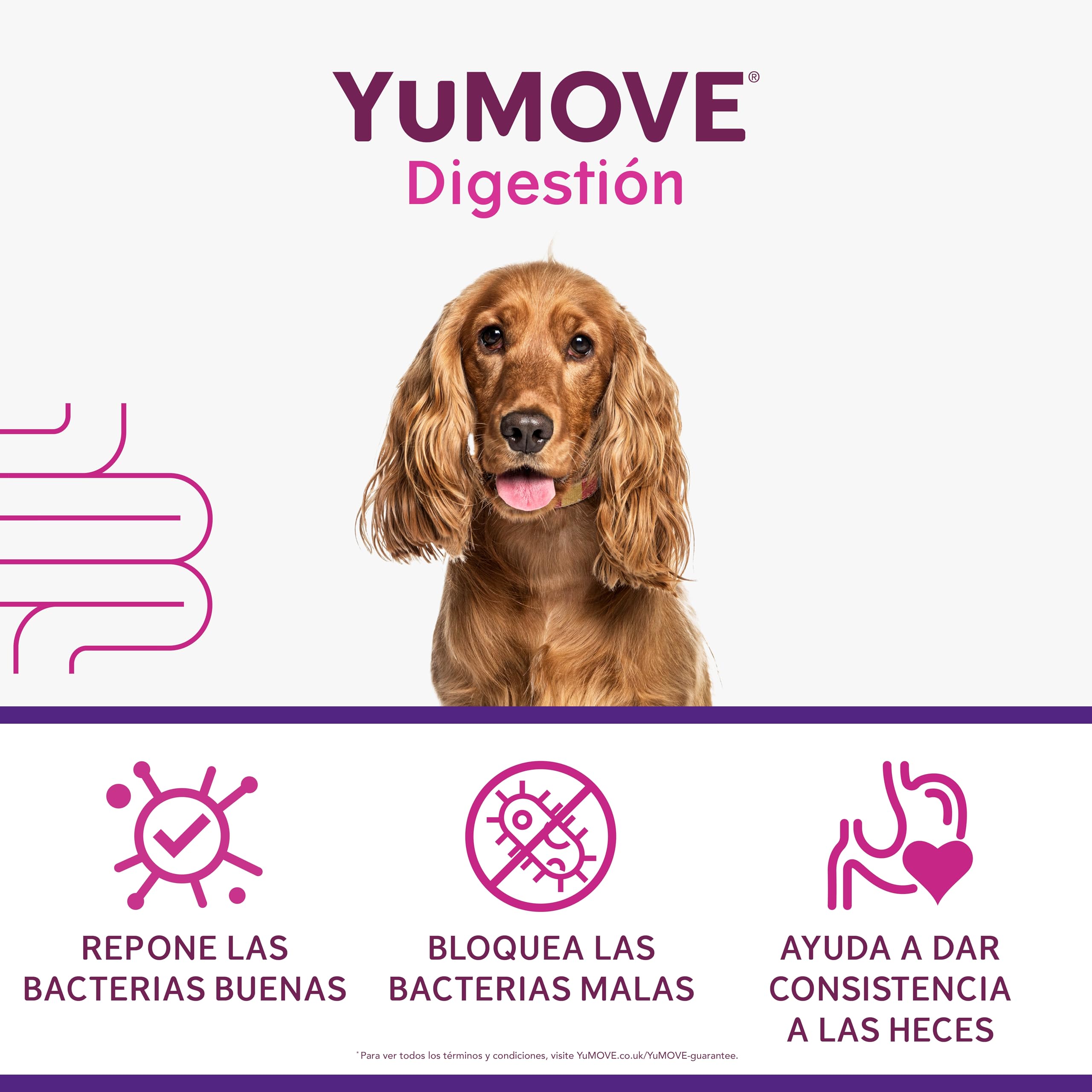 YuMOVE Probióticos para Perros 120 Pastillas - Fórmula ActivBio con L. Acidophilus, B. Bifidum & Prebióticos para Perros Naturales - Appoyo Intestinal, Digestión Saludable & Bienestar Canino Diario