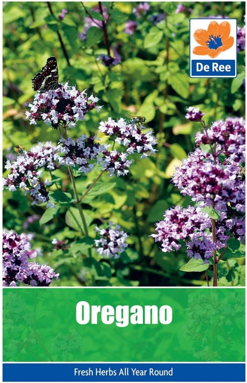 Oregano Seeds