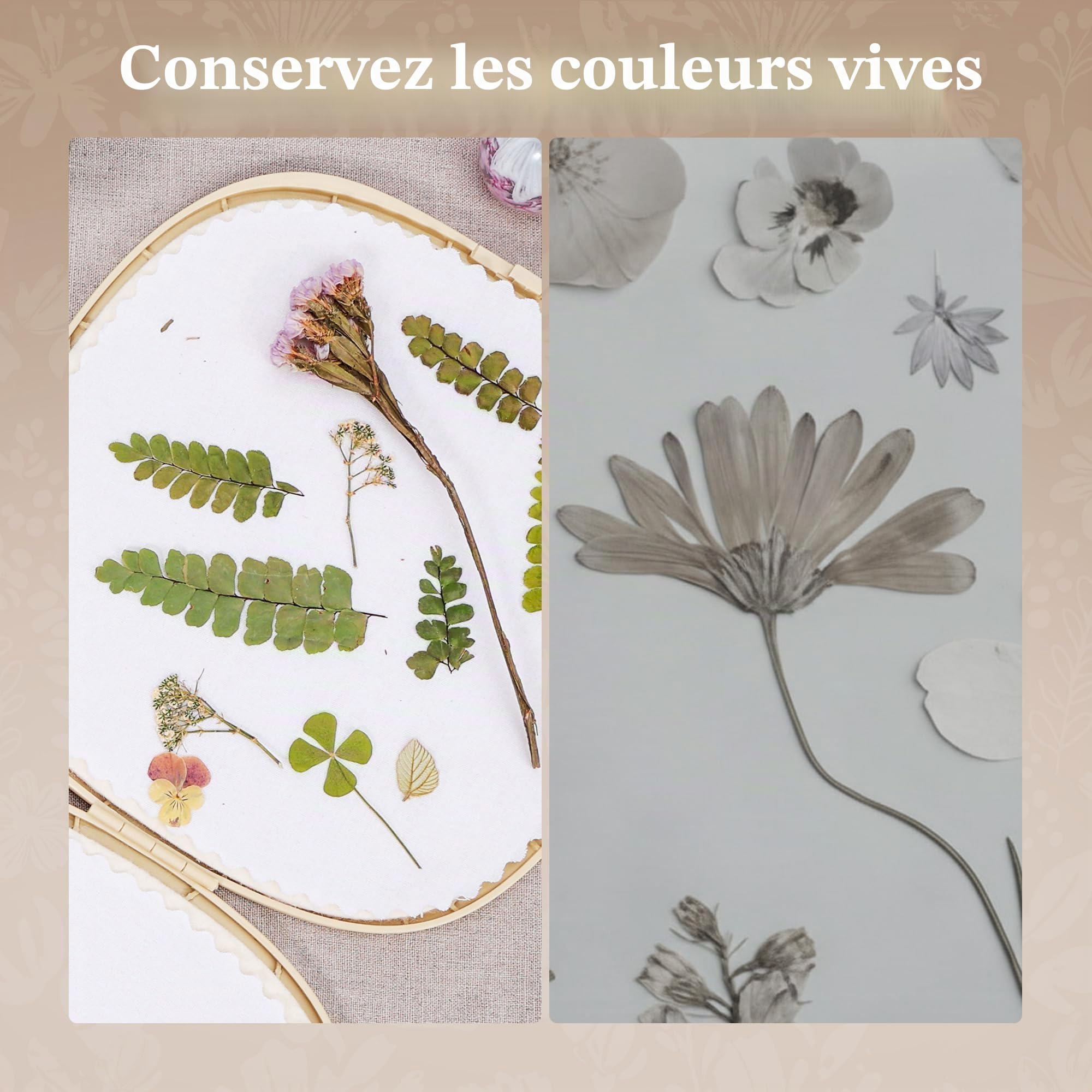 Aboofx Grand kit de presse à fleurs pour micro-ondes, 22,9 x 22,9 cm, kit de séchage de fleurs rapide pour adultes, fabrication rapide de plantes pressées, loisirs créatifs et cadeau