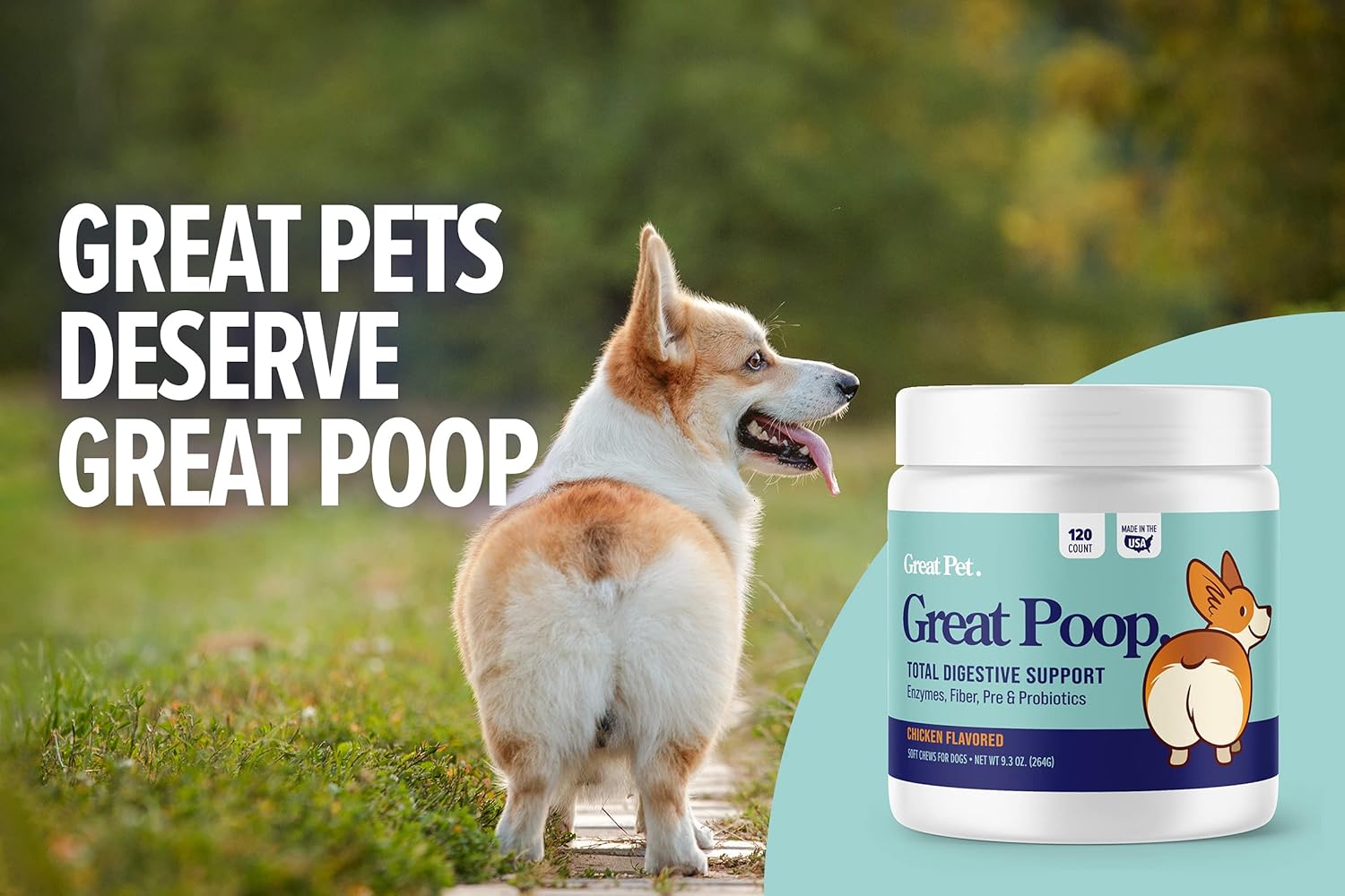 Great Poop Probiotics for Dogs - A Fiber for Dogs Supplement with Dog Probiotics and Digestive Enzymes for a Healthy Gut, Firm Stool & Diarrhea Relief - Chicken Flavored Pet Soft Chews with Prebiotics : Pet Supplies