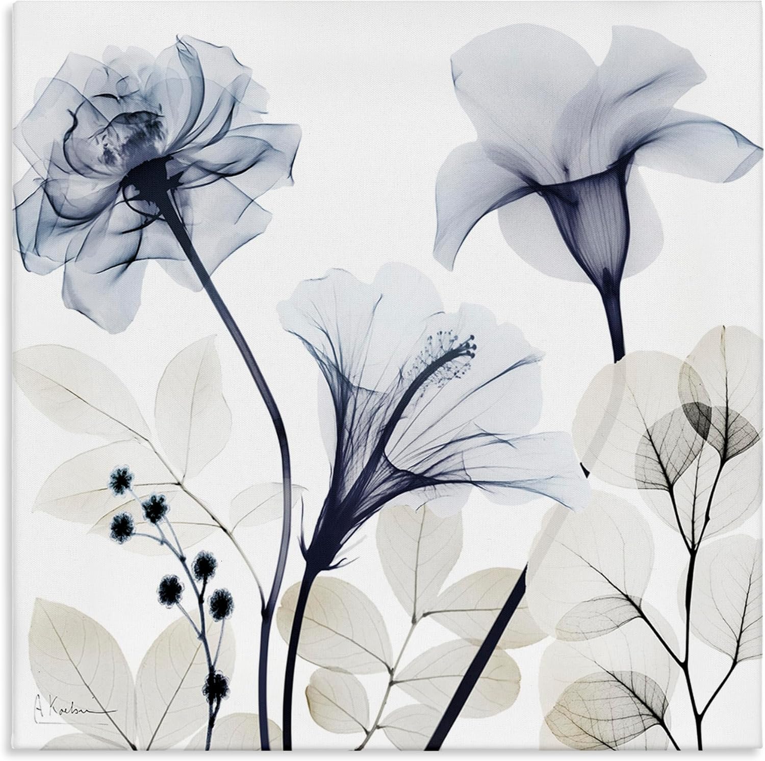 Stupell Industries Sophisticated Minimal Flowers Canvas Wall Art, design by Albert Koetsier, 17 x 17
