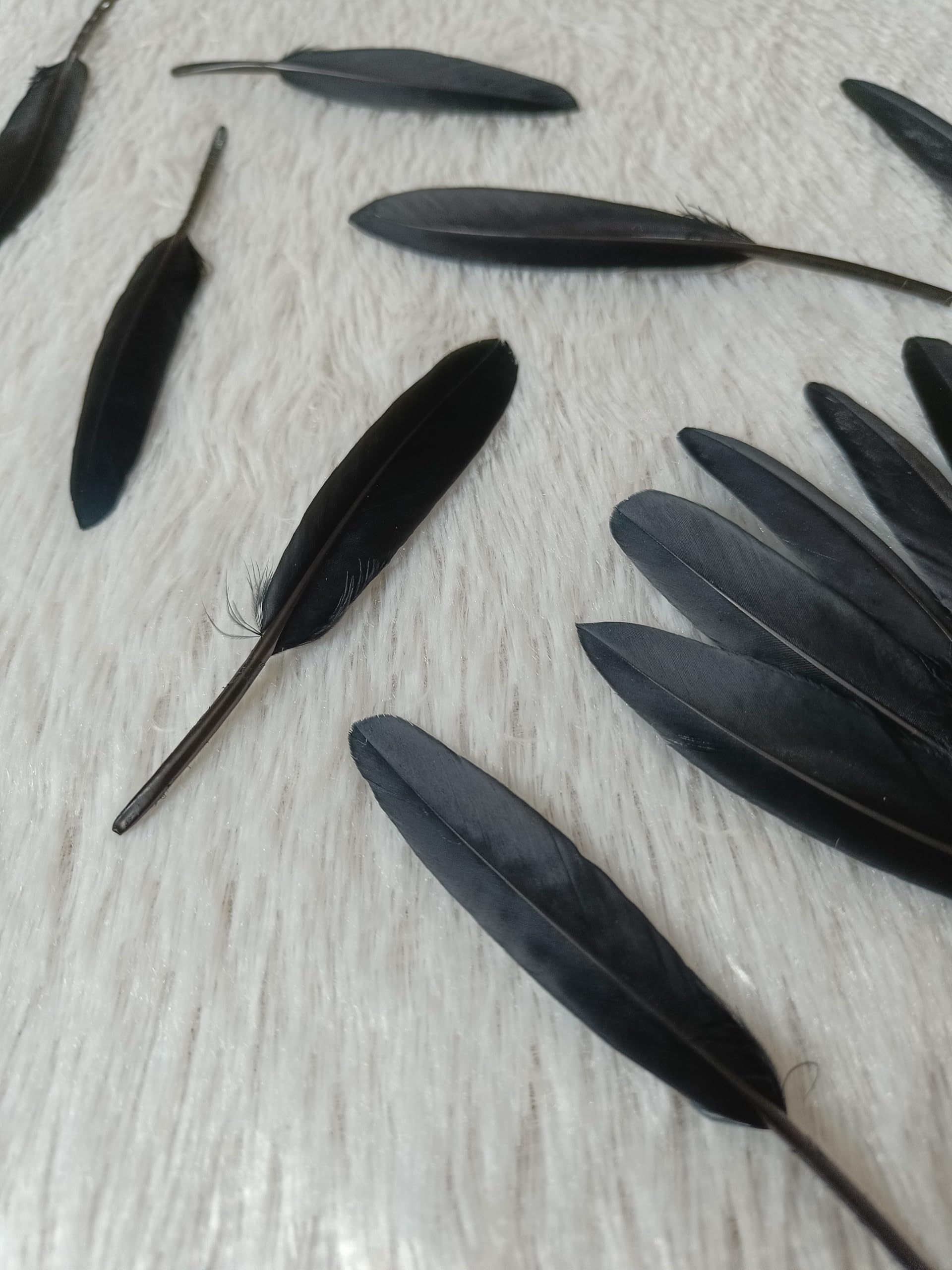 Premium Goose Feathers for Crafts (10 Pcs, 4–5 Inch) | Bright Decorative Feathers for DIY Projects, Dreamcatcher Making, Art & Craft Decoration | Vibrant Craft Feathers (Black) 2