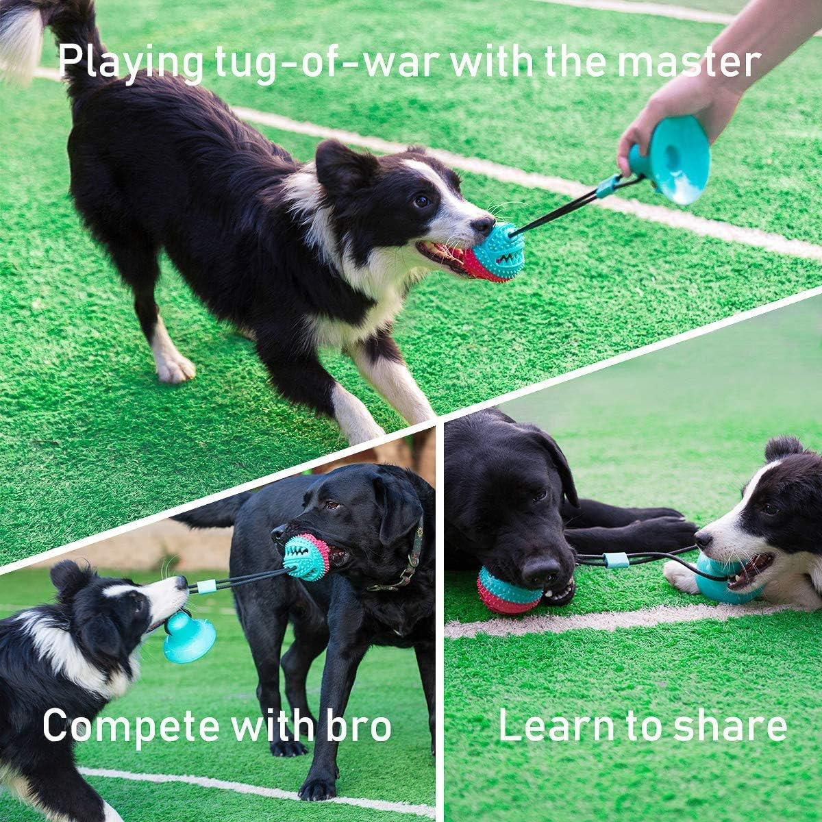 KINETIKITCH Dog Chew Toys for Aggressive Chewers, Puppy Teething Rope & Treat Dispensing Ball, Interactive Puzzle Toys for Small & Large Dogs, Mental Stimulation, Chew Toys for Puppies & Training 3