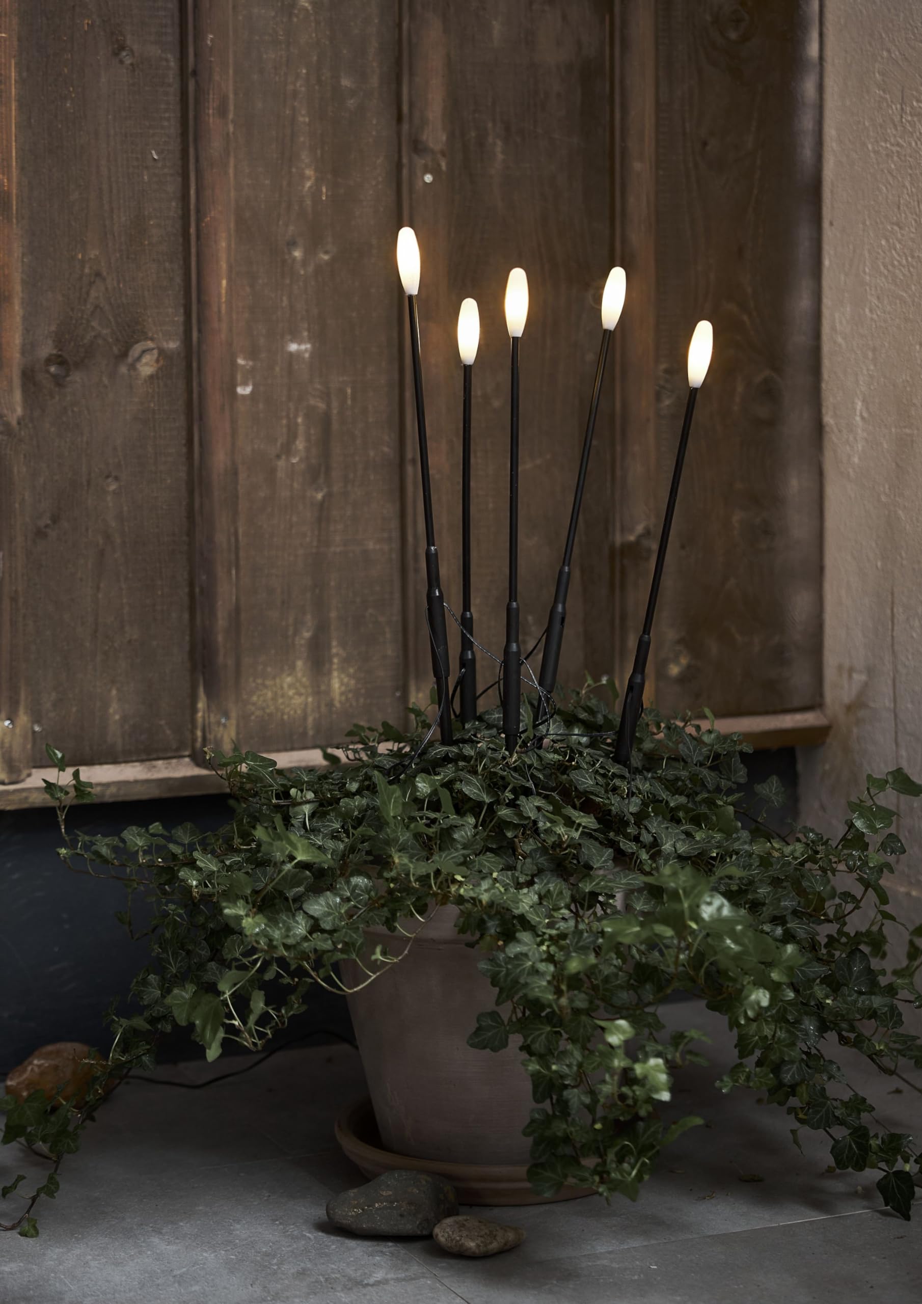Star Trading LED Gartenstecker Milky warmweiß – 5er Set Lichterdeko Outdoor, Dekostäbe Schwarz-Weiß, ca. 50 cm, 5 m Zuleitung, inkl. Trafo