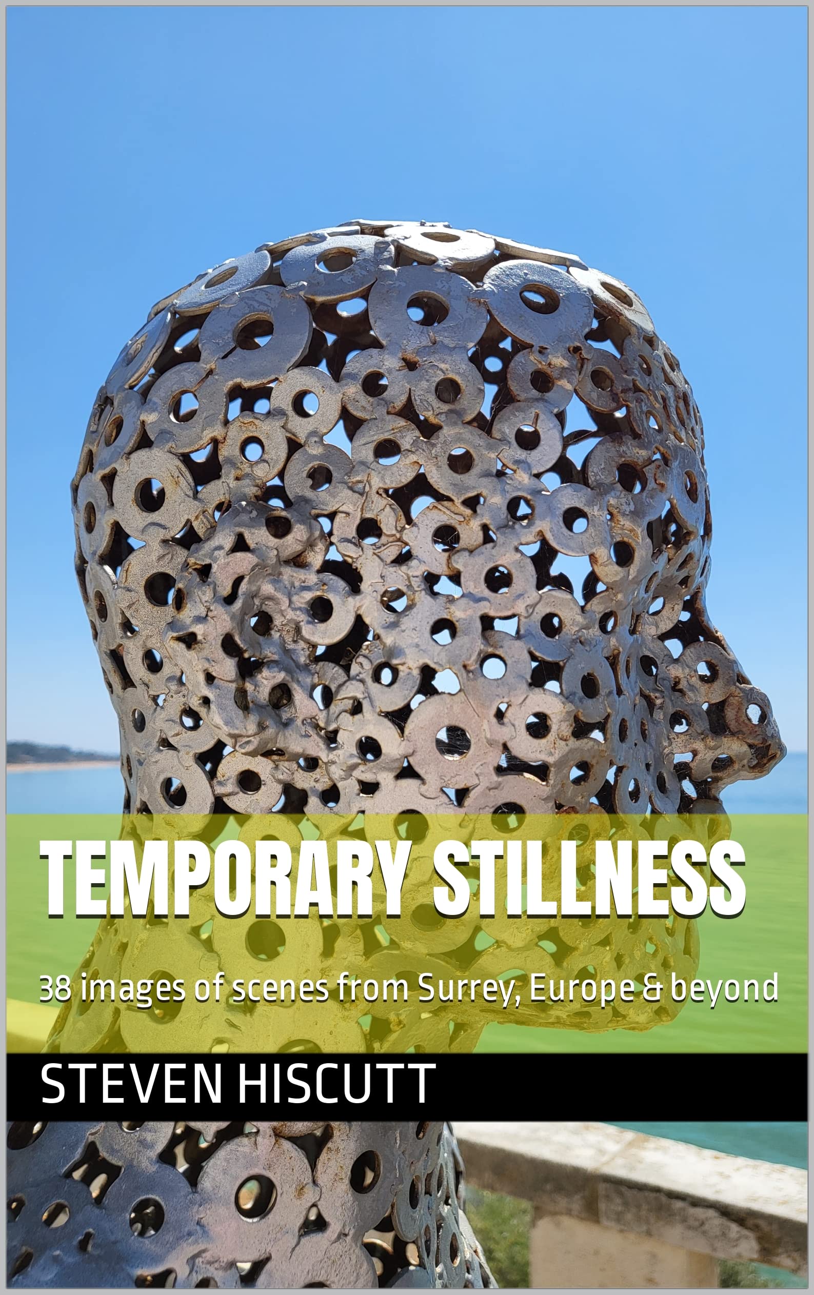 Temporary Stillness livre en anglais accessible pour progresser sans dictionnaire