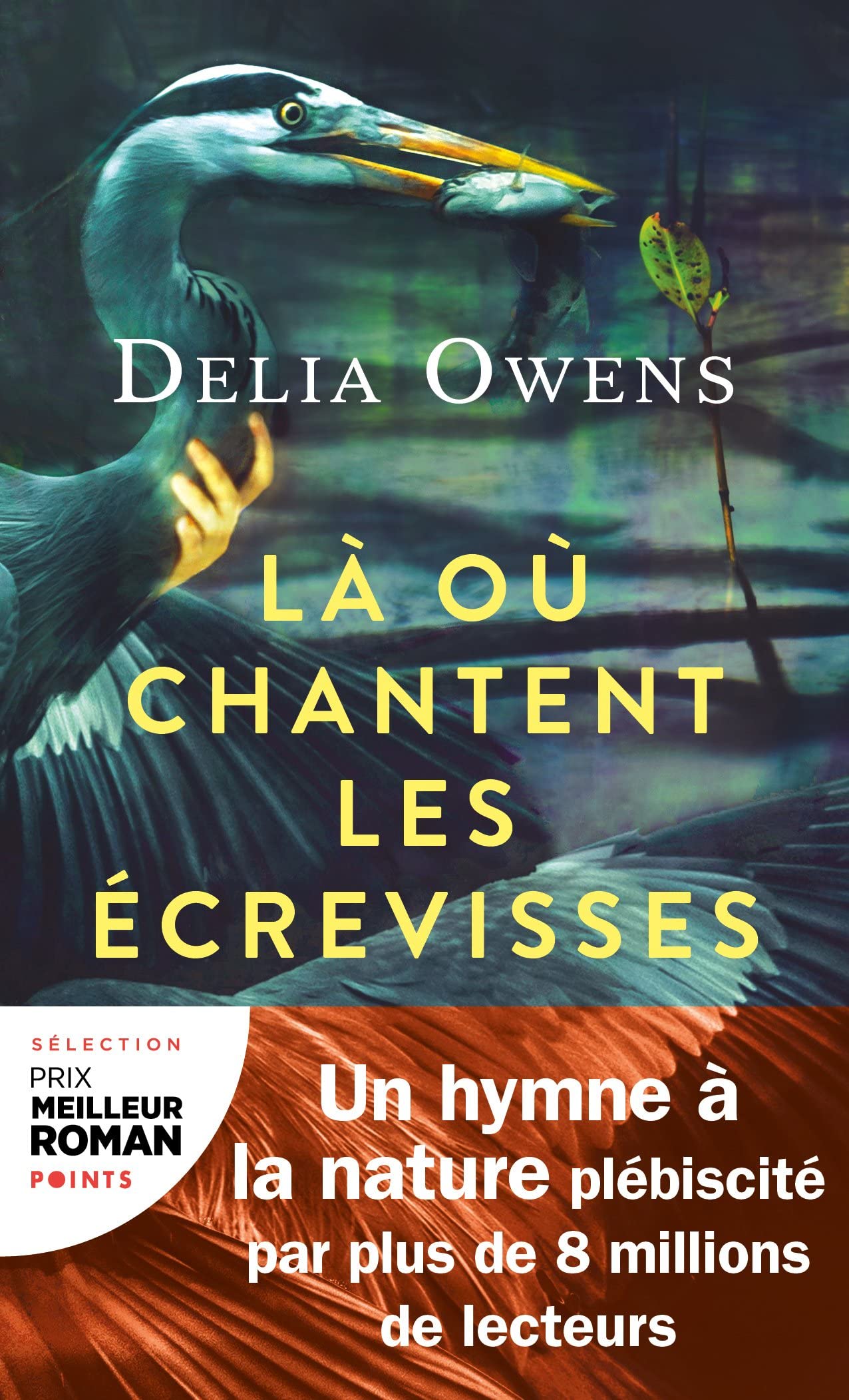 La Ou Chantent Les Ecrevisses Film LA OU CHANTENT LES ECREVISSES : OWENS,DELIA: Amazon.ca: Books