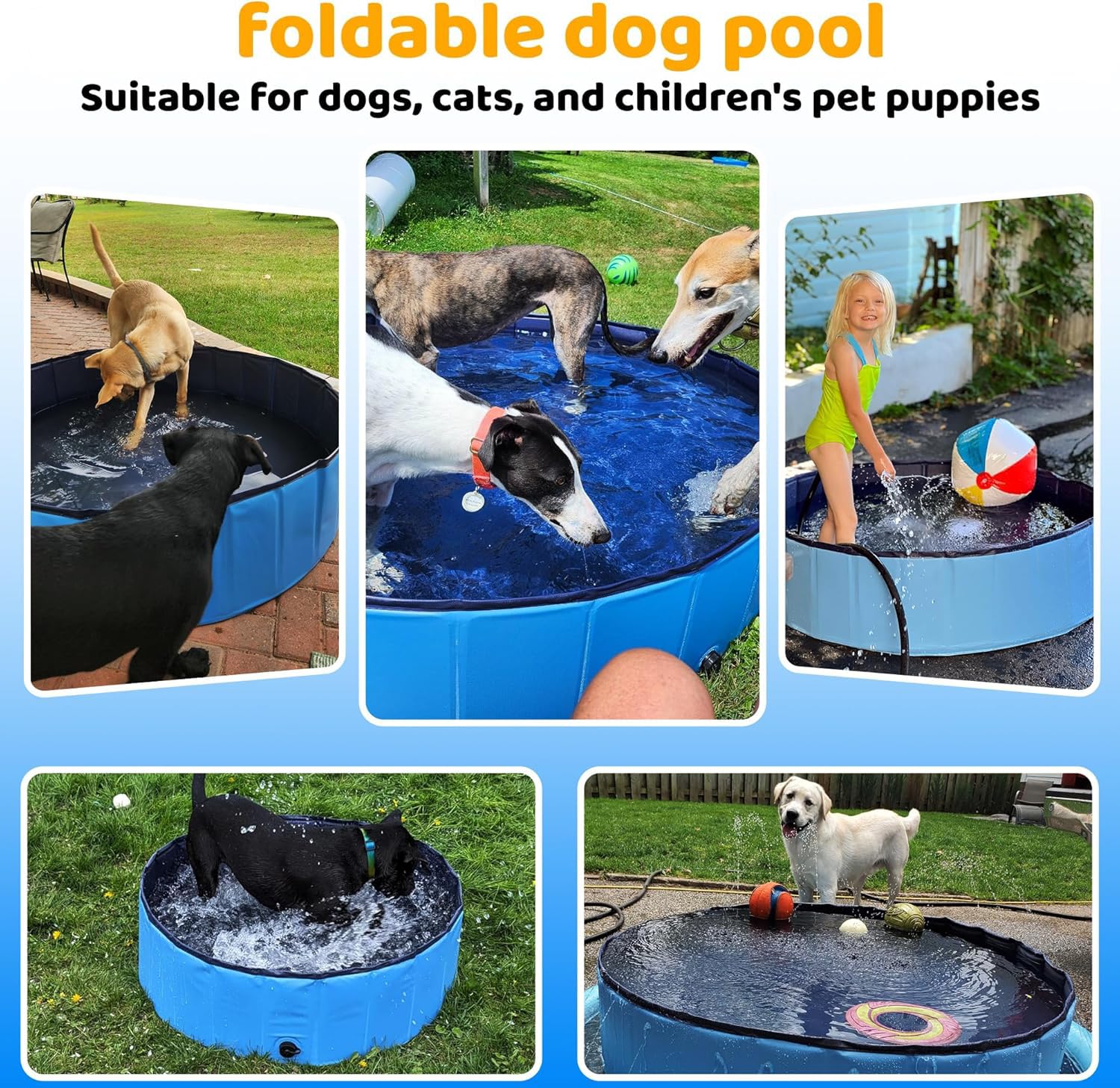 Hundepool Faltbar, Anti-Rutsch Planschbecken für Hunde & Katzen, Robuste Hundebadewanne aus 3-lagigem PVC & MDF, Wasserdichter Schwimmpool mit Abfluss für Garten Bad (100x30cm)