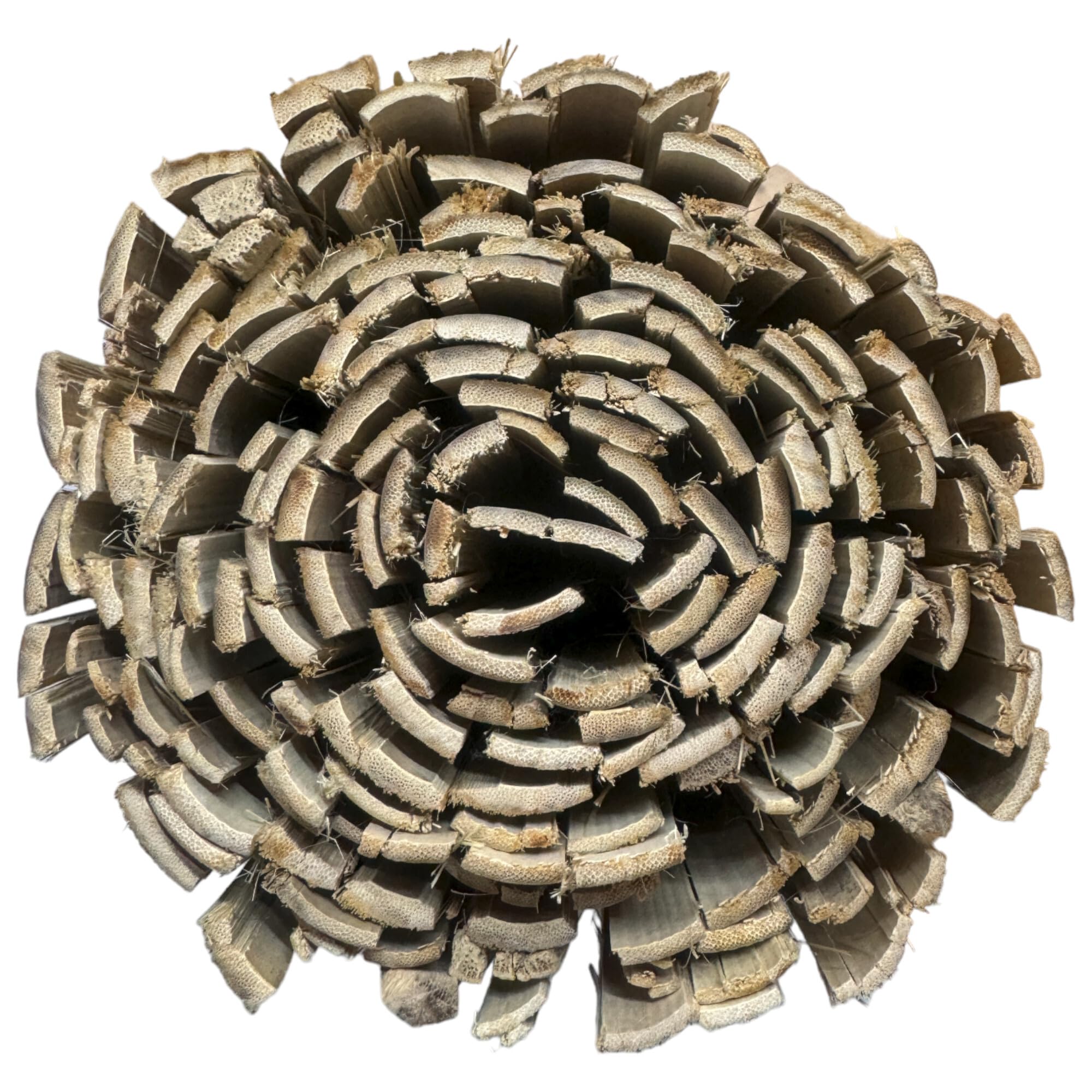 UNUS Bambus-Sichtschutzmatte 160x300 Flacher Bambus Sichtschutz Gartenzaun