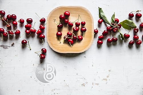 Miniatura 5 de Platos biodegradables de hoja de palma, 4 pulgadas, cuadrados, 25 piezas, compostables, estilo de bambú y madera, apilables, grado restaurante,