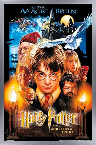 Vista 10 de Trends International Harry Potter y la piedra del hechicero de 24 x 36 pulgadas, póster de pared de una hoja, 24 x 36 pulgadas, versión enmarcada