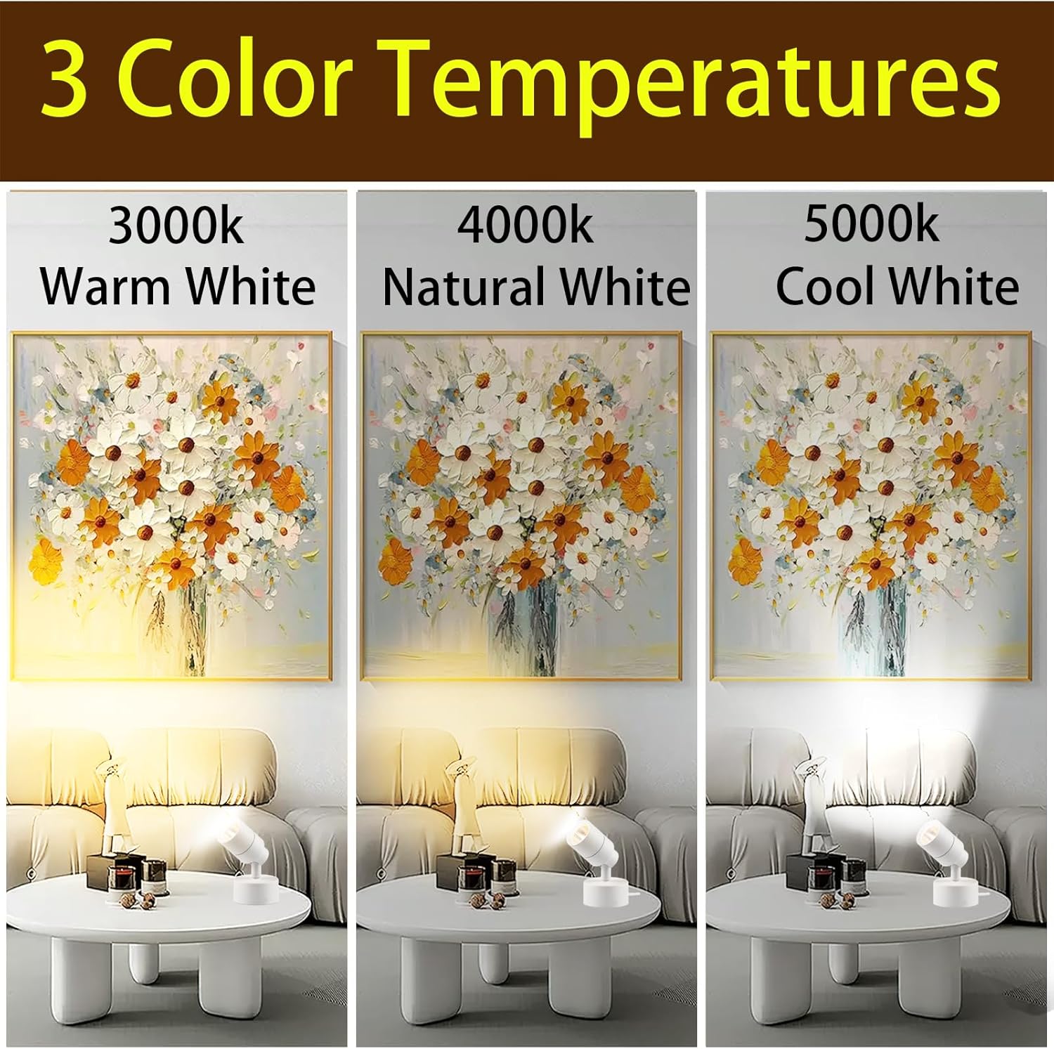 ముగ్గురు మాజీamples of color temperatures: 3000K Warm White, 4000K Natural White, and 5000K Cool White, illuminating artwork.