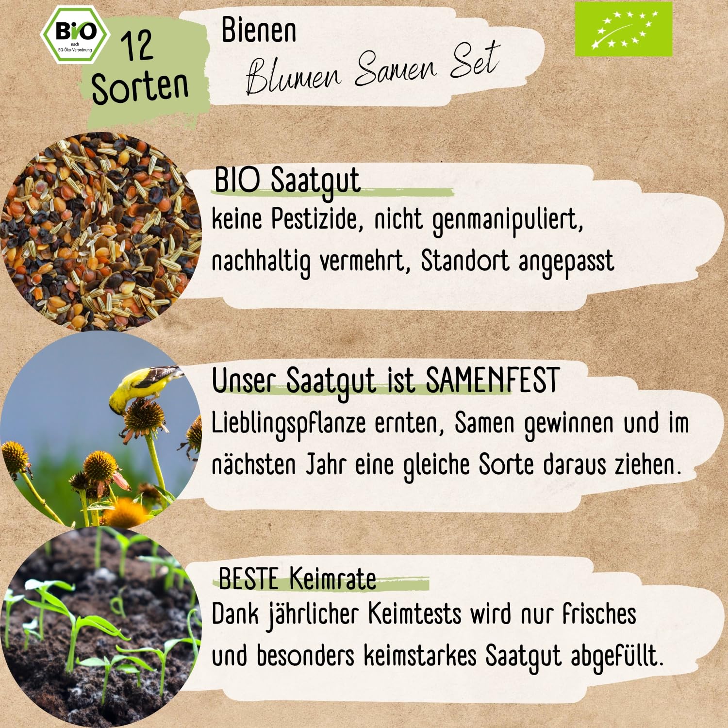 Bio Bienen Blumen Samen Set – 12 Sorten samenfeste Bio Blumensamen – mit extra viel Blumen Saatgut für deine Bienen. Schönes Pflanzensamen Set mit Wildblumensamen als Gastgeschenk.